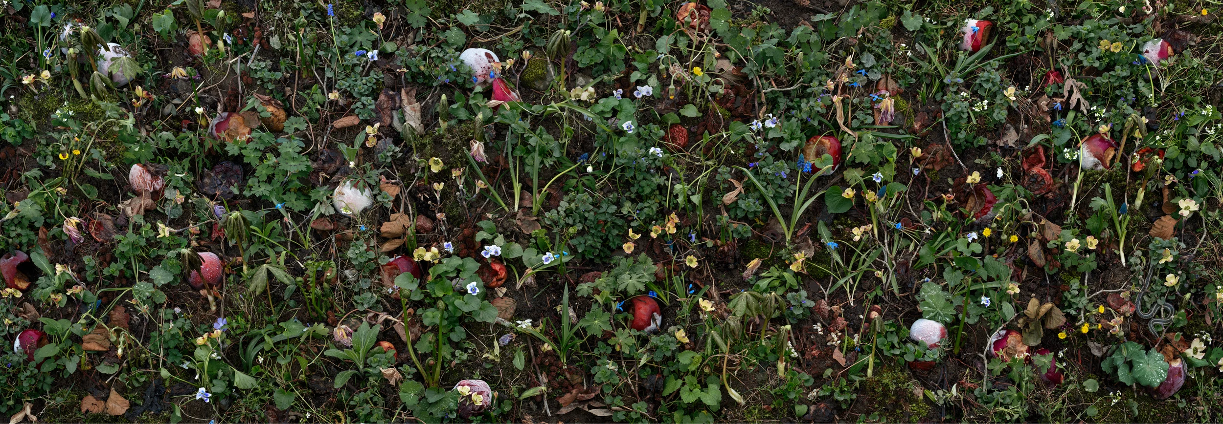 Woven Nº 26, 34 x 98” 2017
