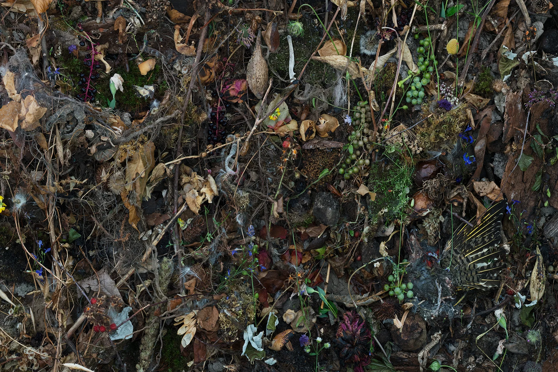 Detail, Woven Nº 4, 62 x 124” 2015