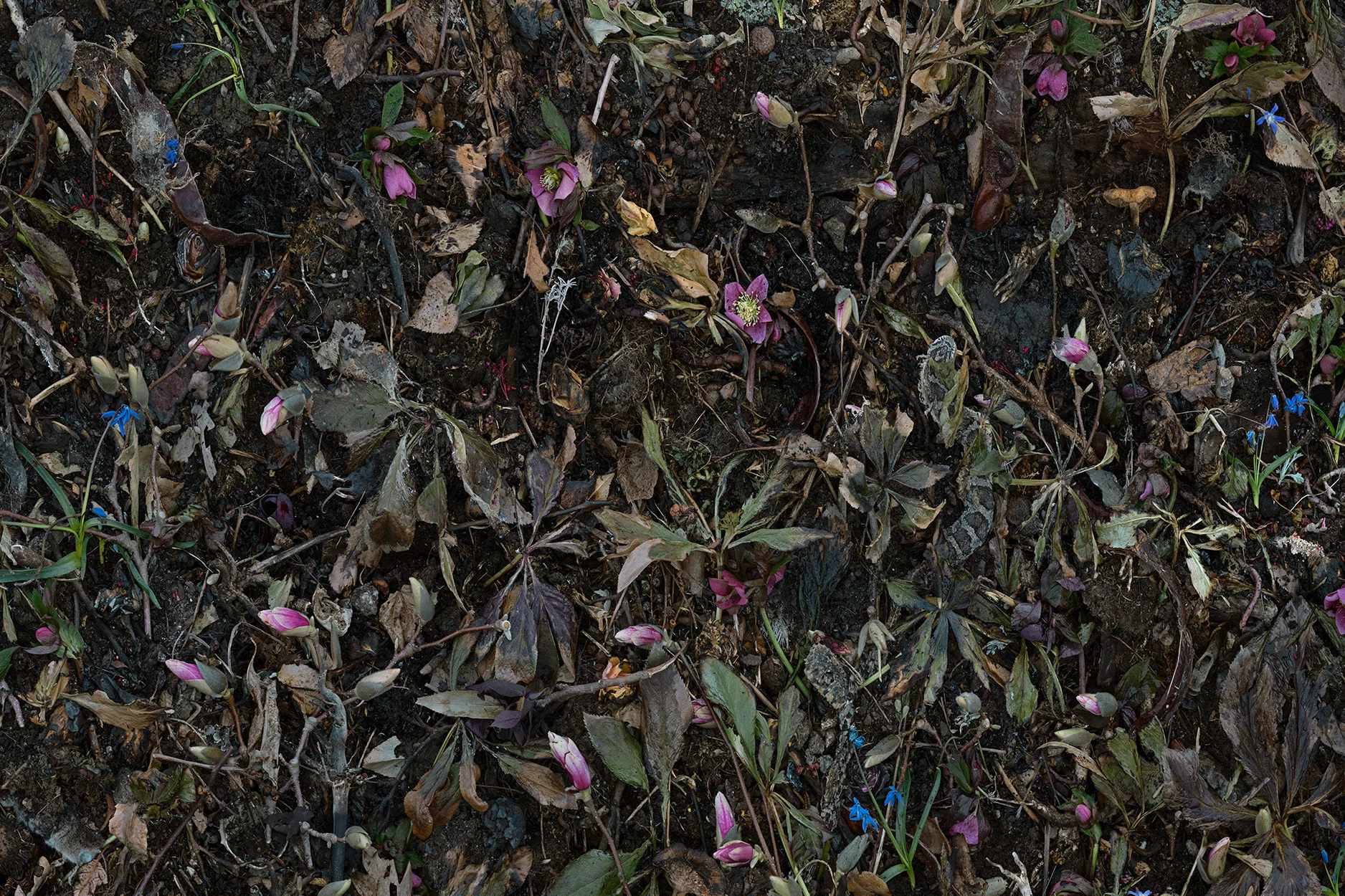 detail– Woven Nº 21, 62 x 124” 2016