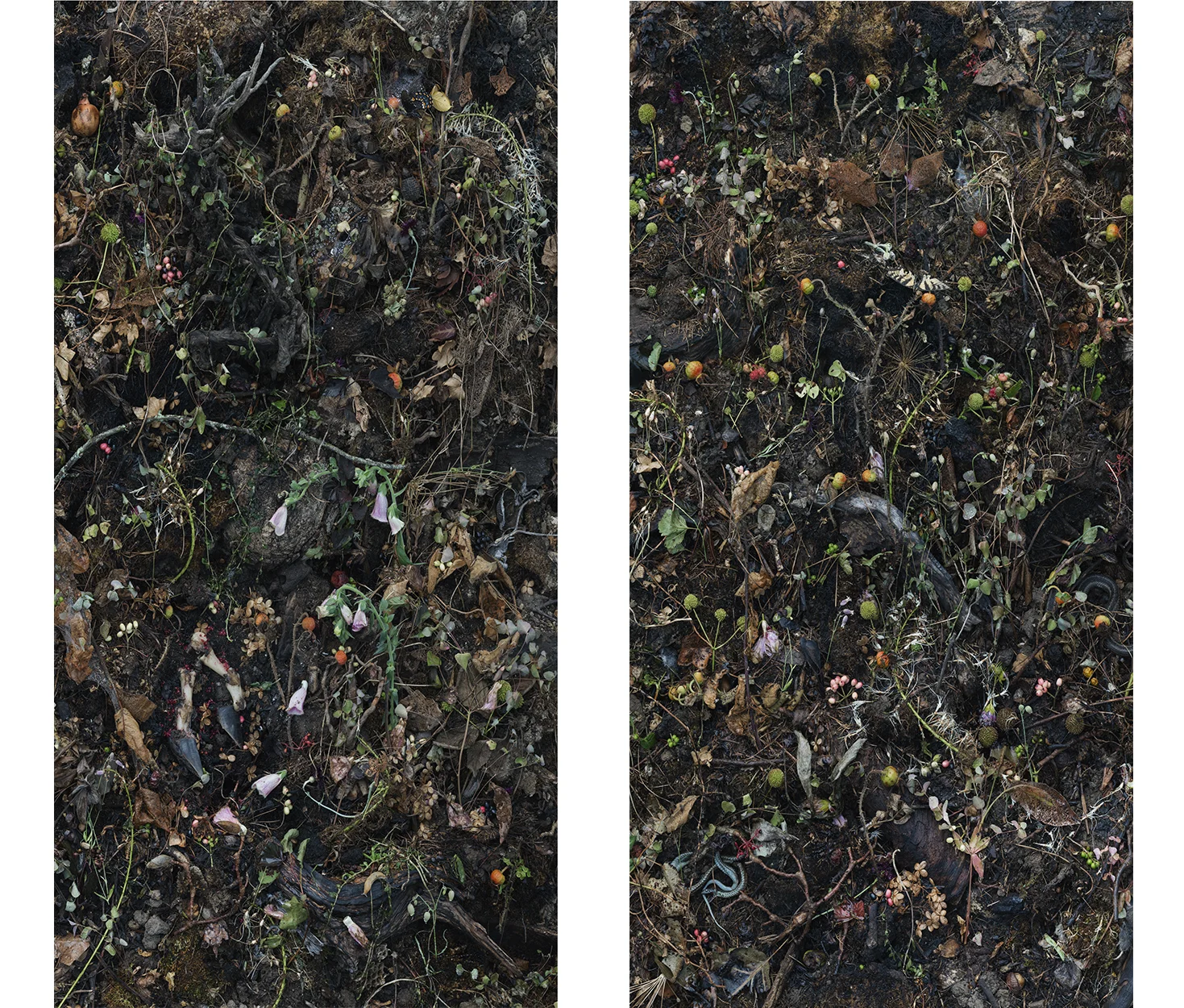 Woven Nº25a and 25b, each panel 42 x 21”, 2016