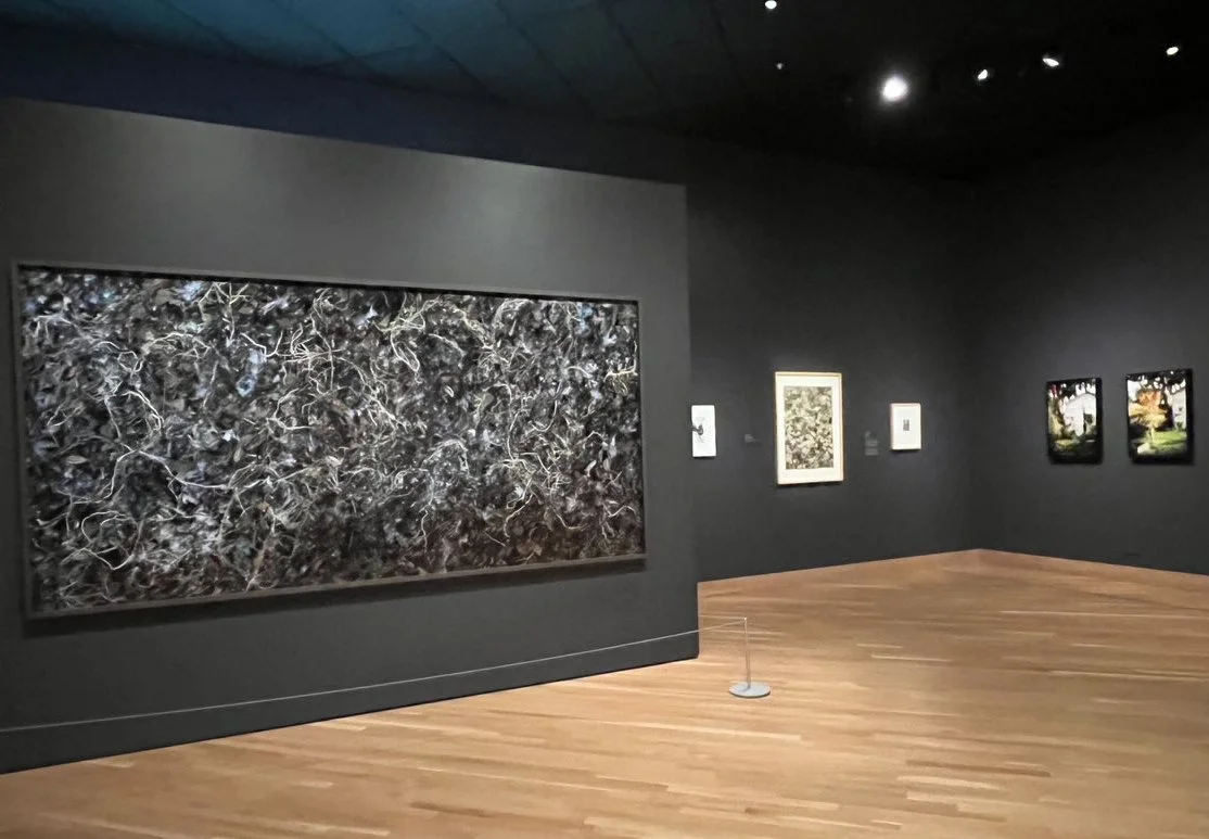 Woven Nº 11 in Landscape Exhibition, Denver Art Museum