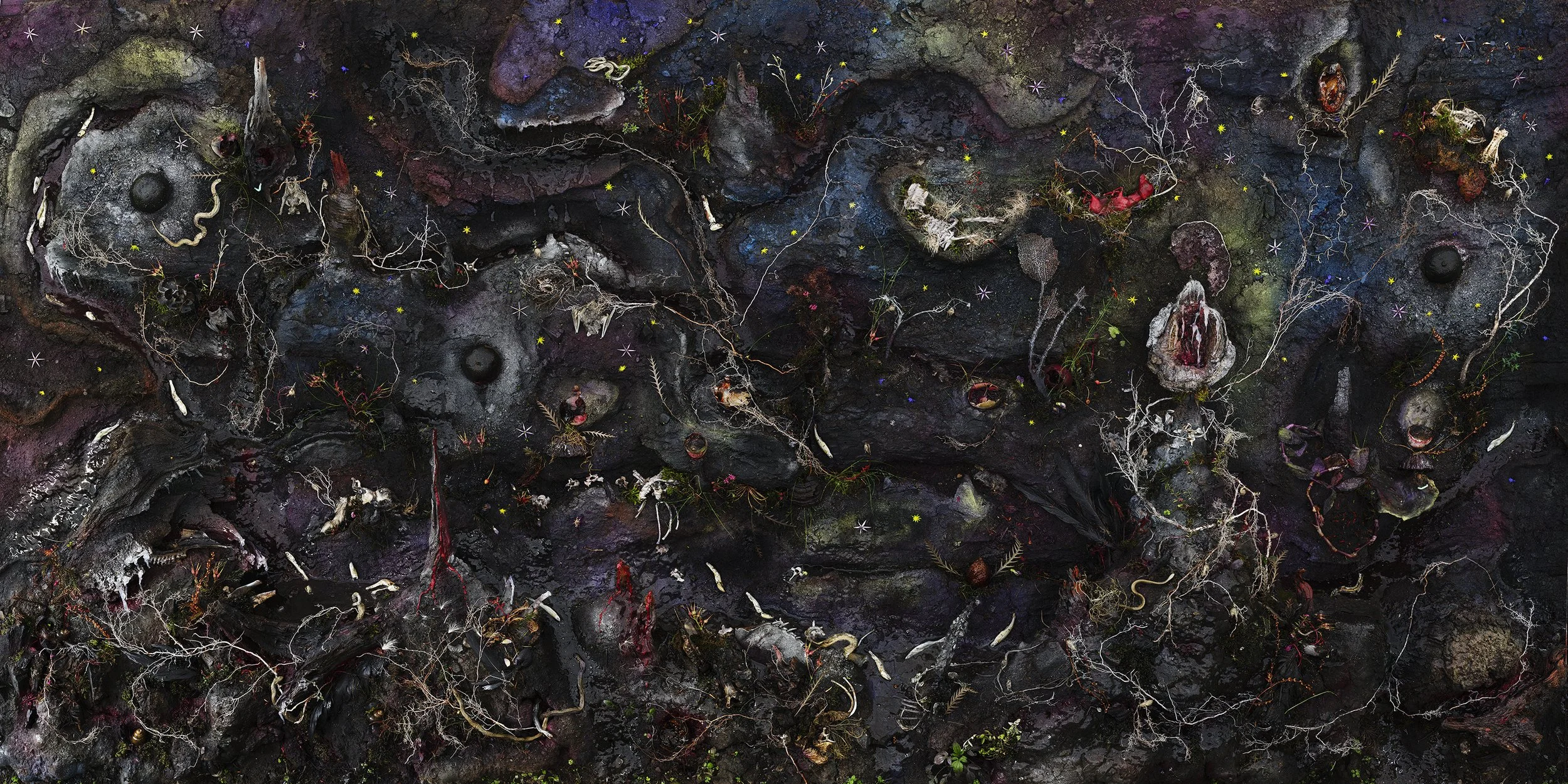 Nº 12 (Part 1 Kingdom) Book of Miracles 62 x 124” 2025