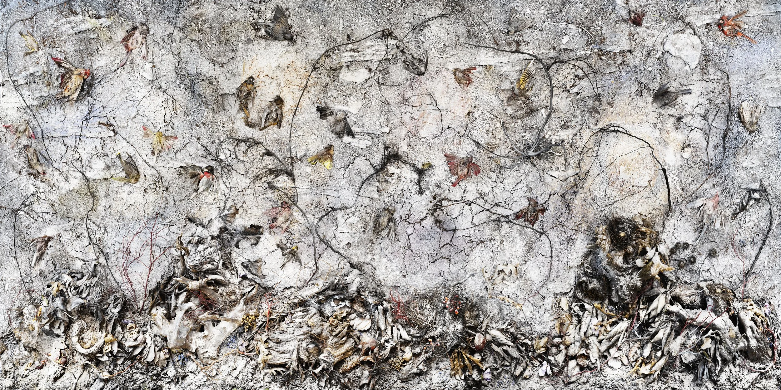  Nº 6c (Part 1 Kingdom) Book of Miracles  62 x 124” 2022  Tanya Marcuse, began  Book of Miracles  during the lockdown at the beginning of the pandemic. The project has unfolded against the backdrop of wildfires, extreme temperatures, political and so