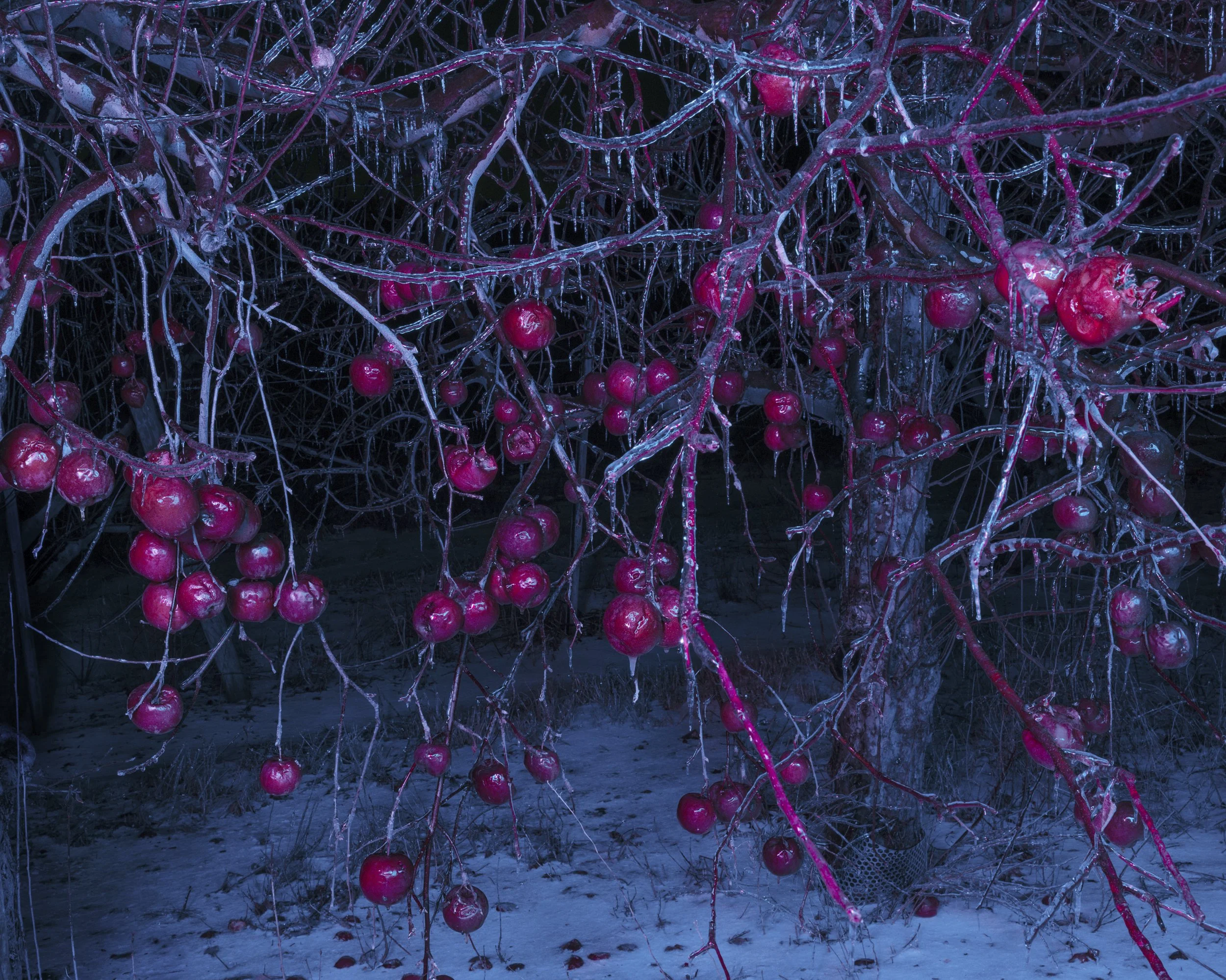  Nº0409,  Book of Miracles (Part II Portent)    30.25 x 38”, 2022 