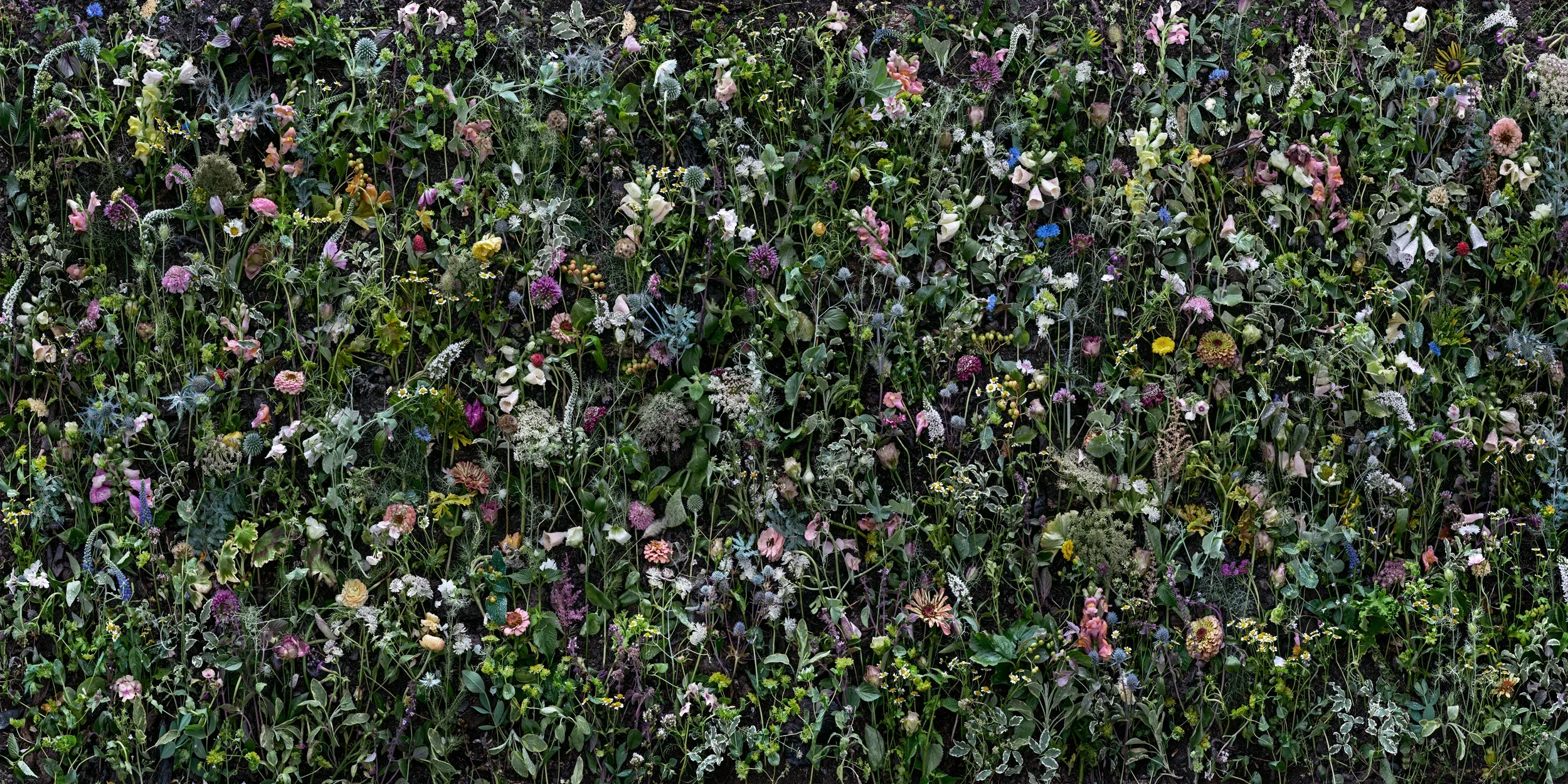 Rochester Garden Club Presents Tanya Marcuse at the George Eastman Museum