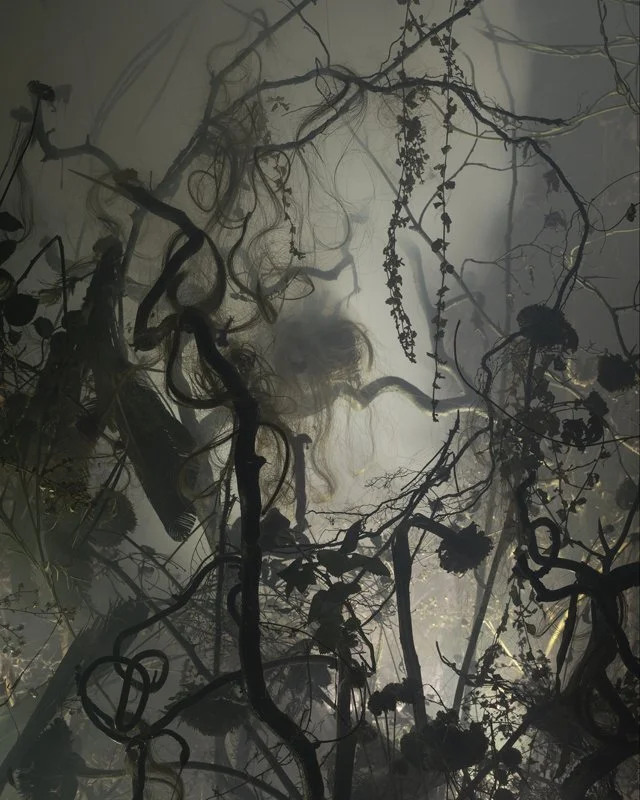 Opening Reception: Upstate Photography Biennial