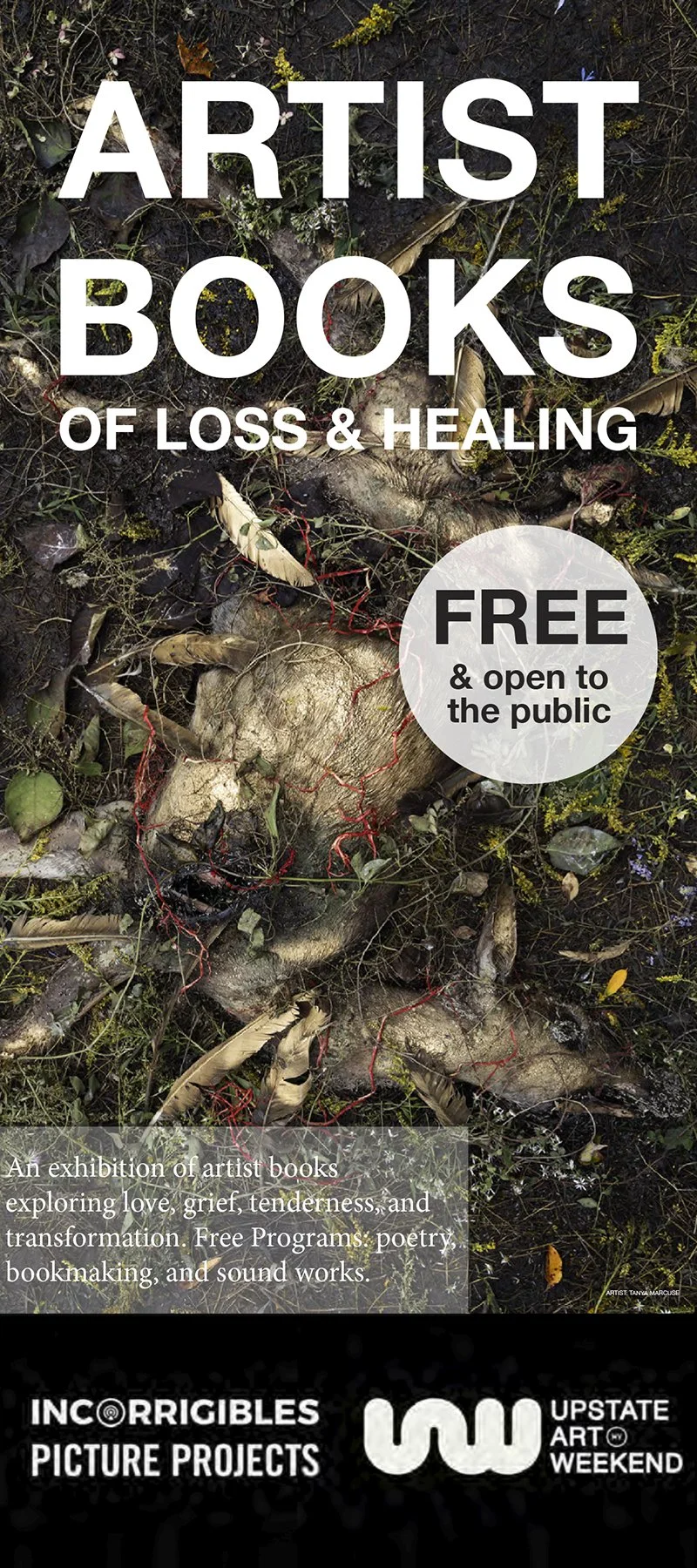 Opening: Artist Books of Loss and Healing, The Church, Staatsburg