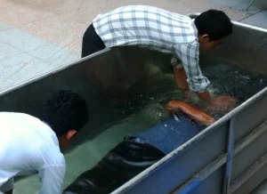 New Birth in Cambodia!