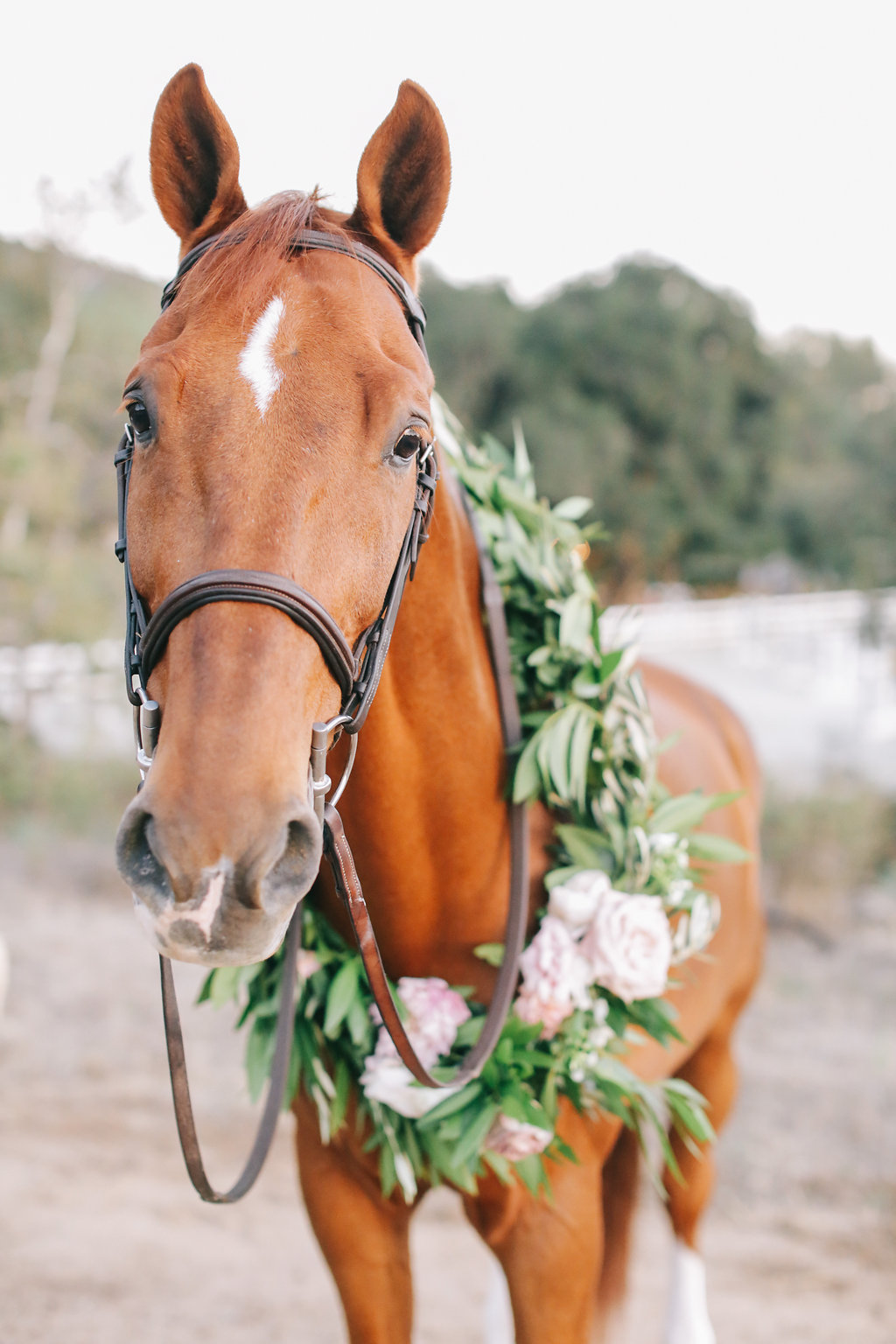 LVL Weddings and Events Brandon Kidd Equestrian Wedding (85).jpg