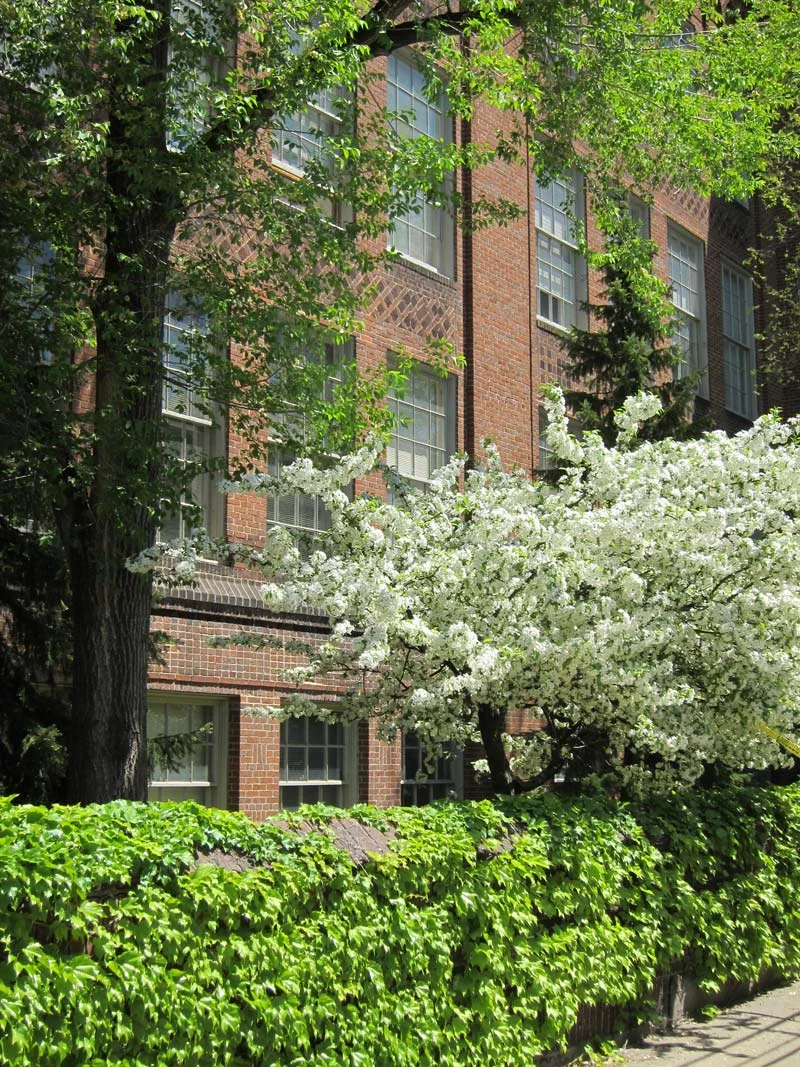 View of the Condominium building from Paul Street.