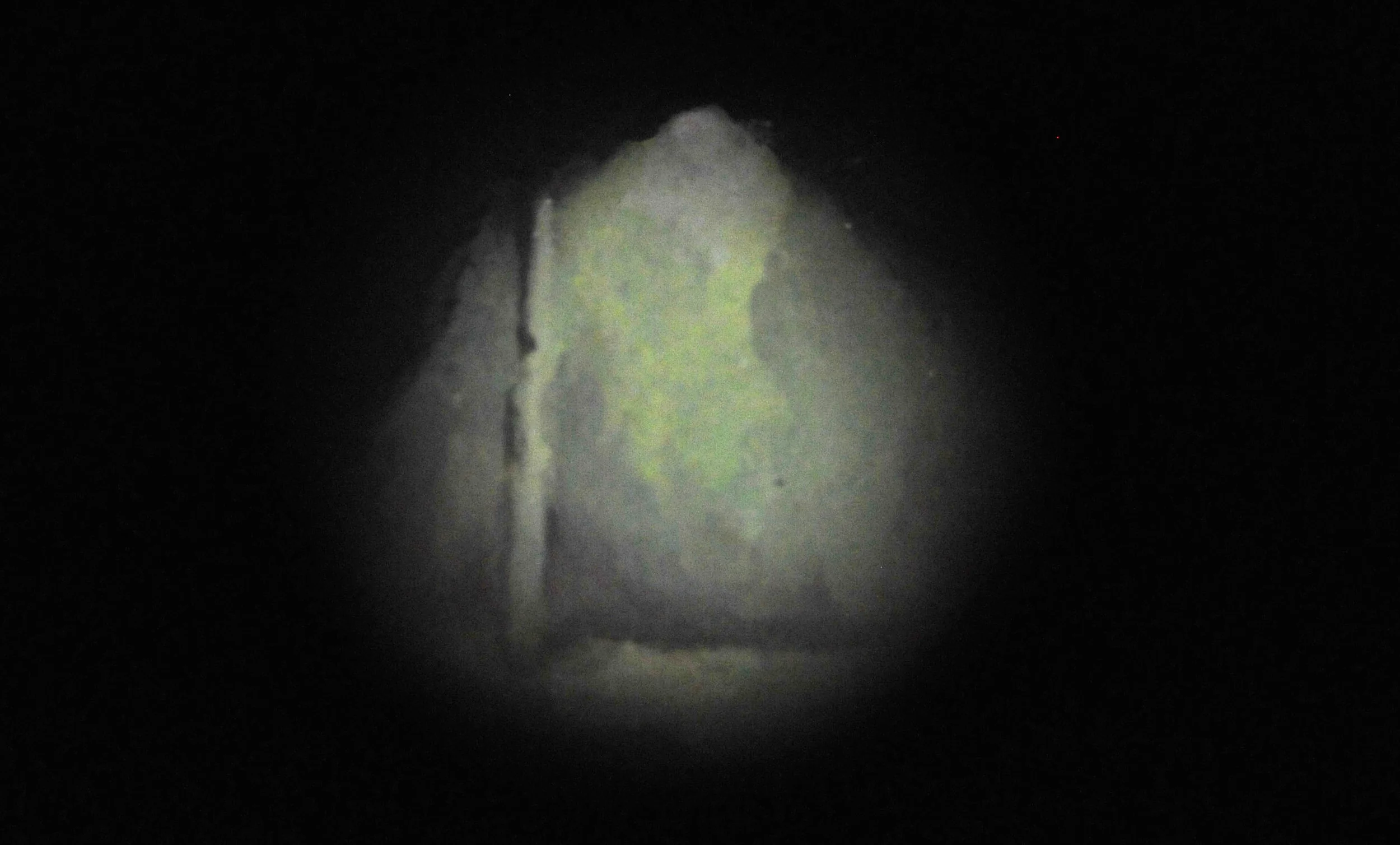 Captive Perspective