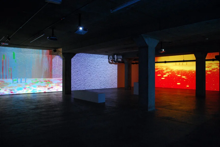 I.D.S.T. Installation view, Block336 London 2012