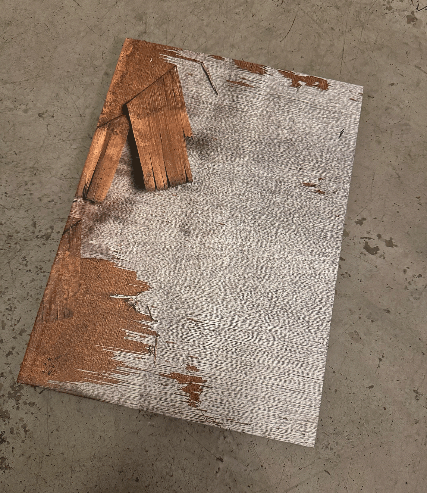 Adapt to the Collapse. Monograph