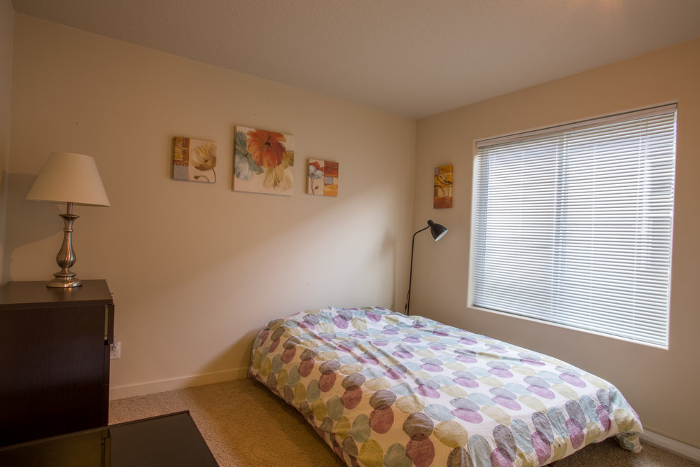 ZZ5A8984-HDR.jpg