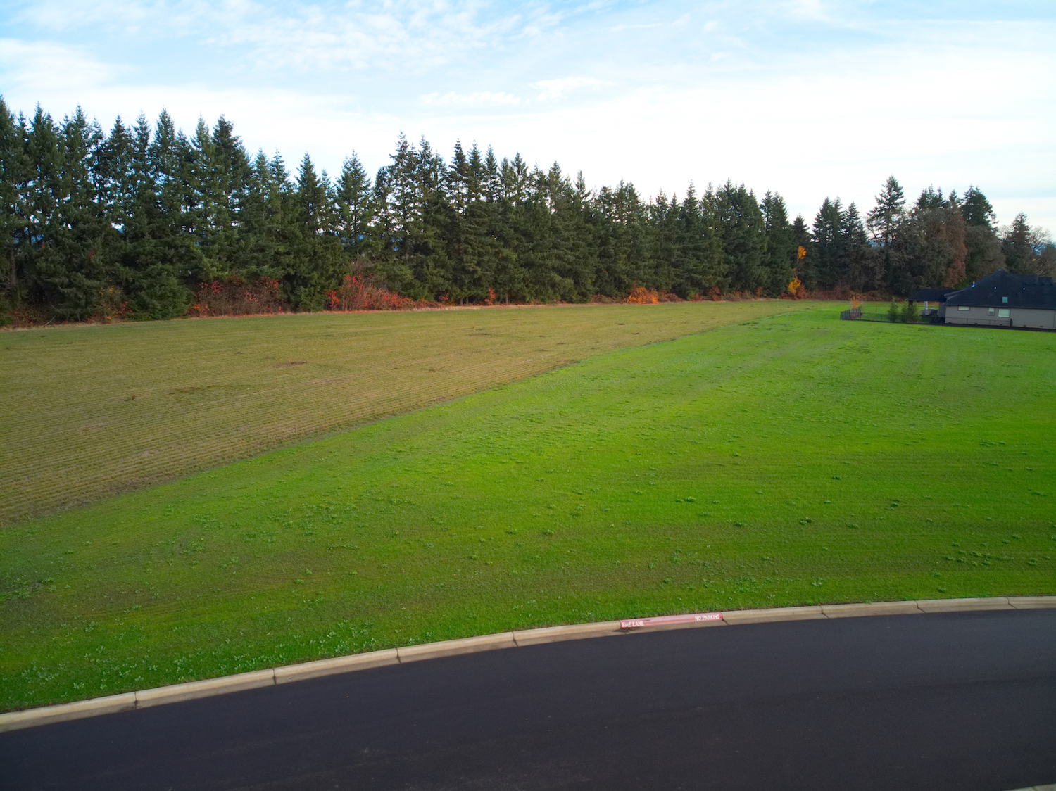 DJI_0210.jpg