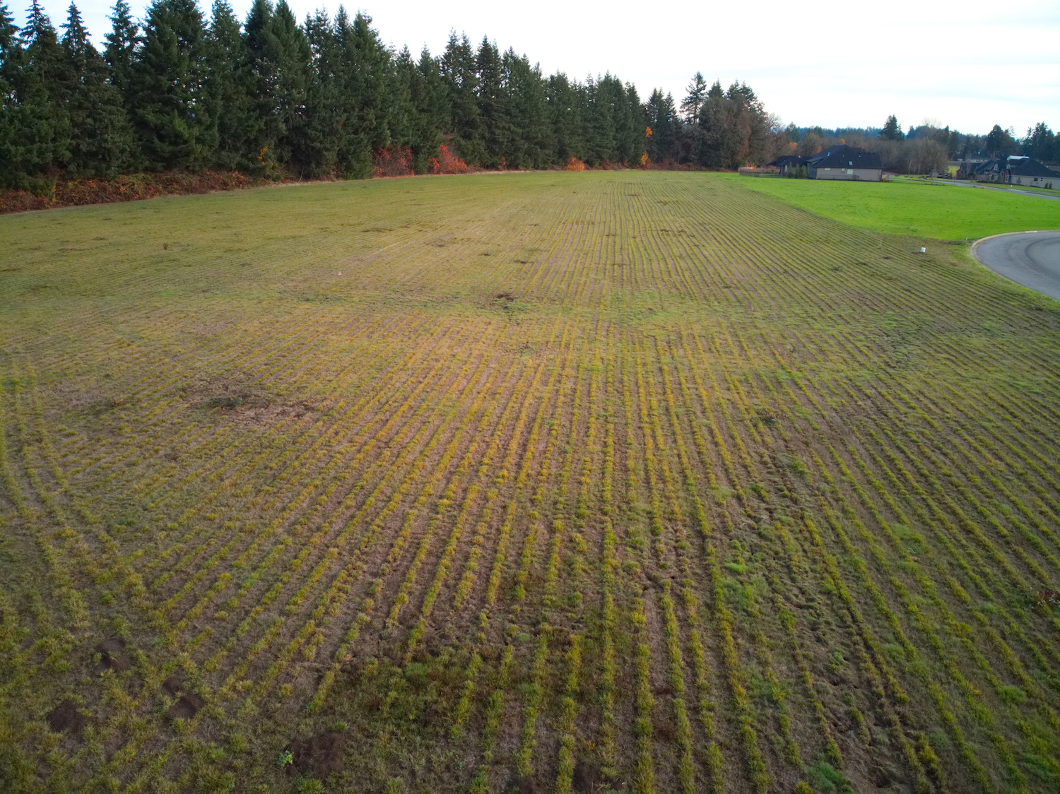 DJI_0198.jpg