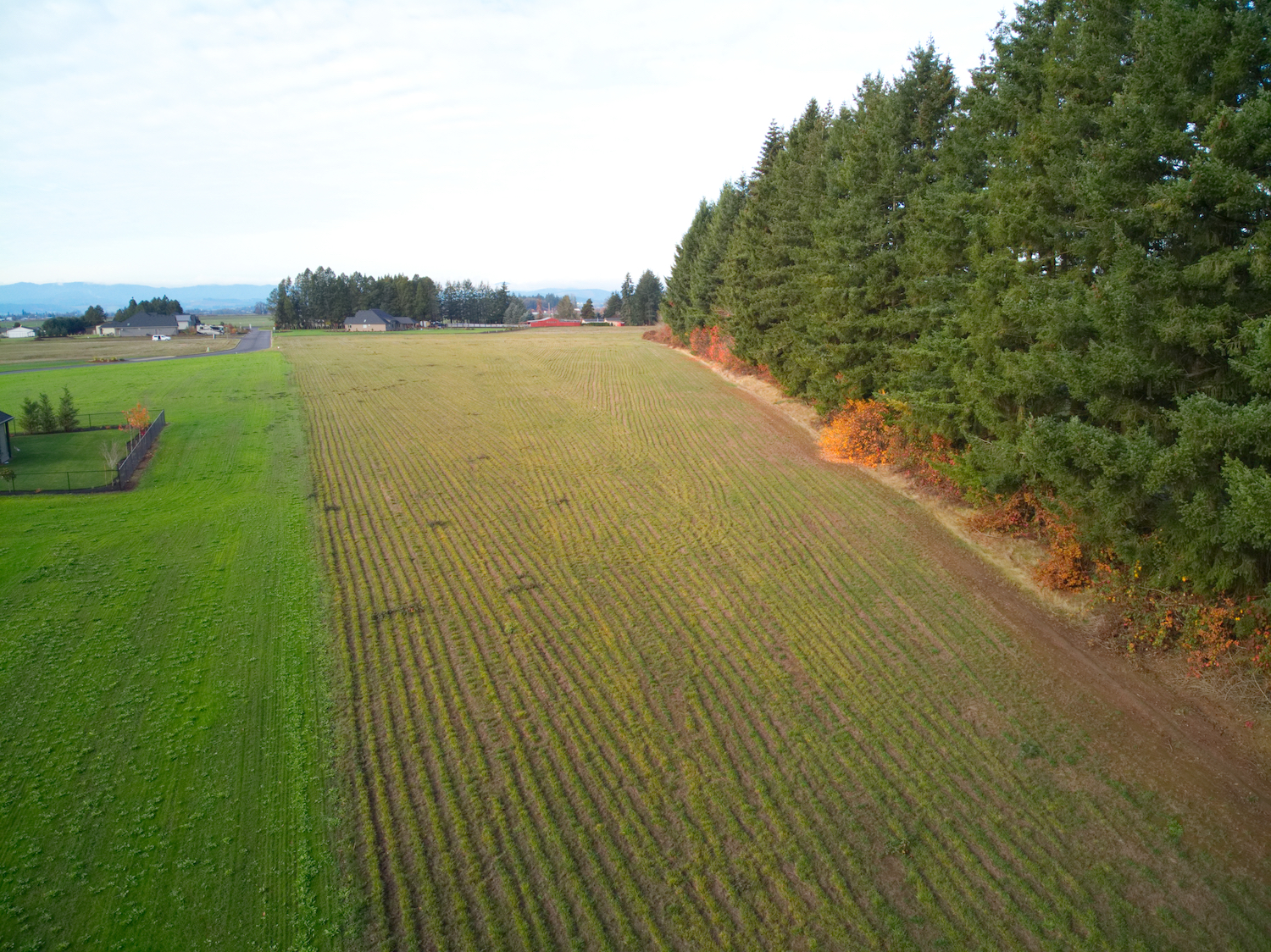 DJI_0211.jpg
