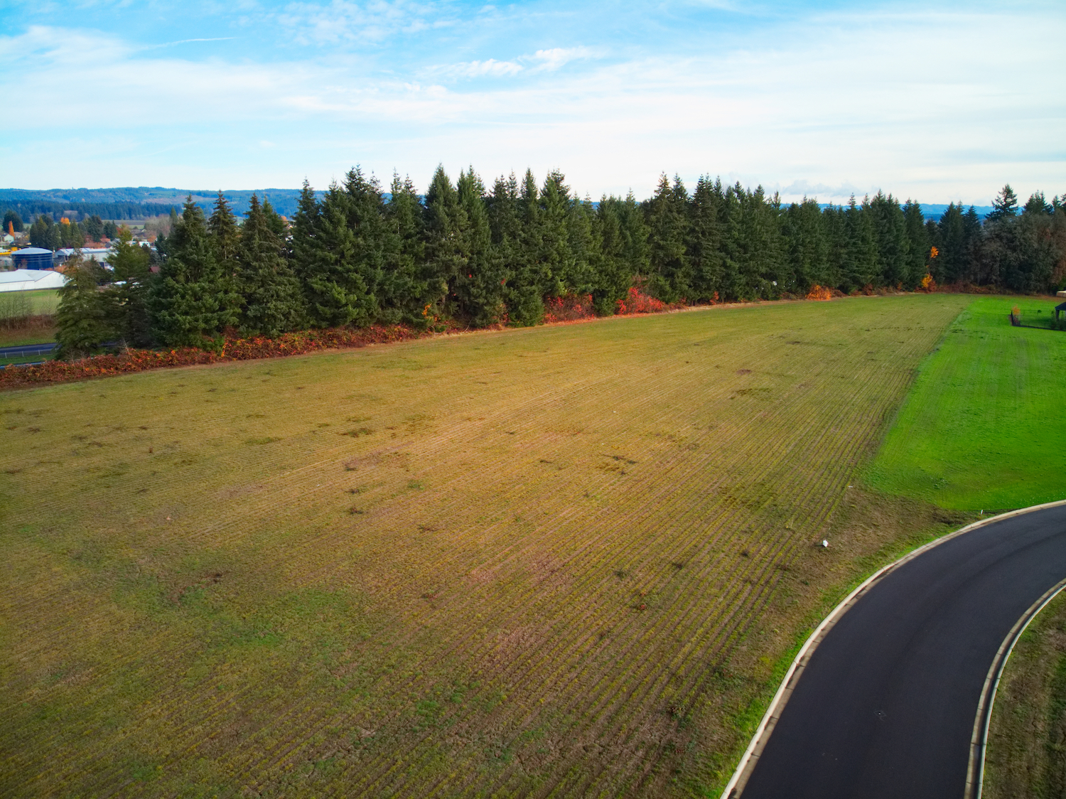 DJI_0229.jpg
