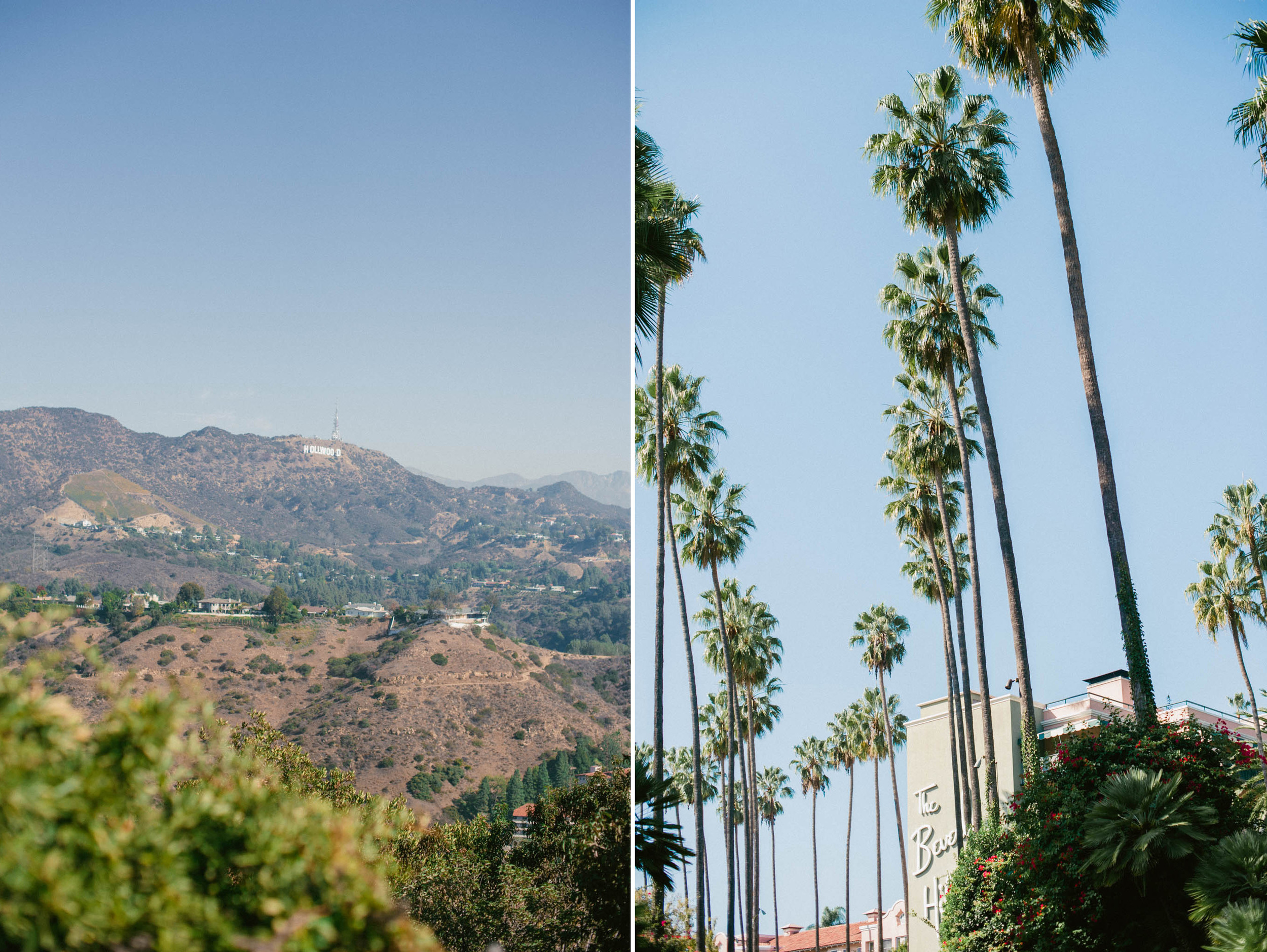 cali12.jpg
