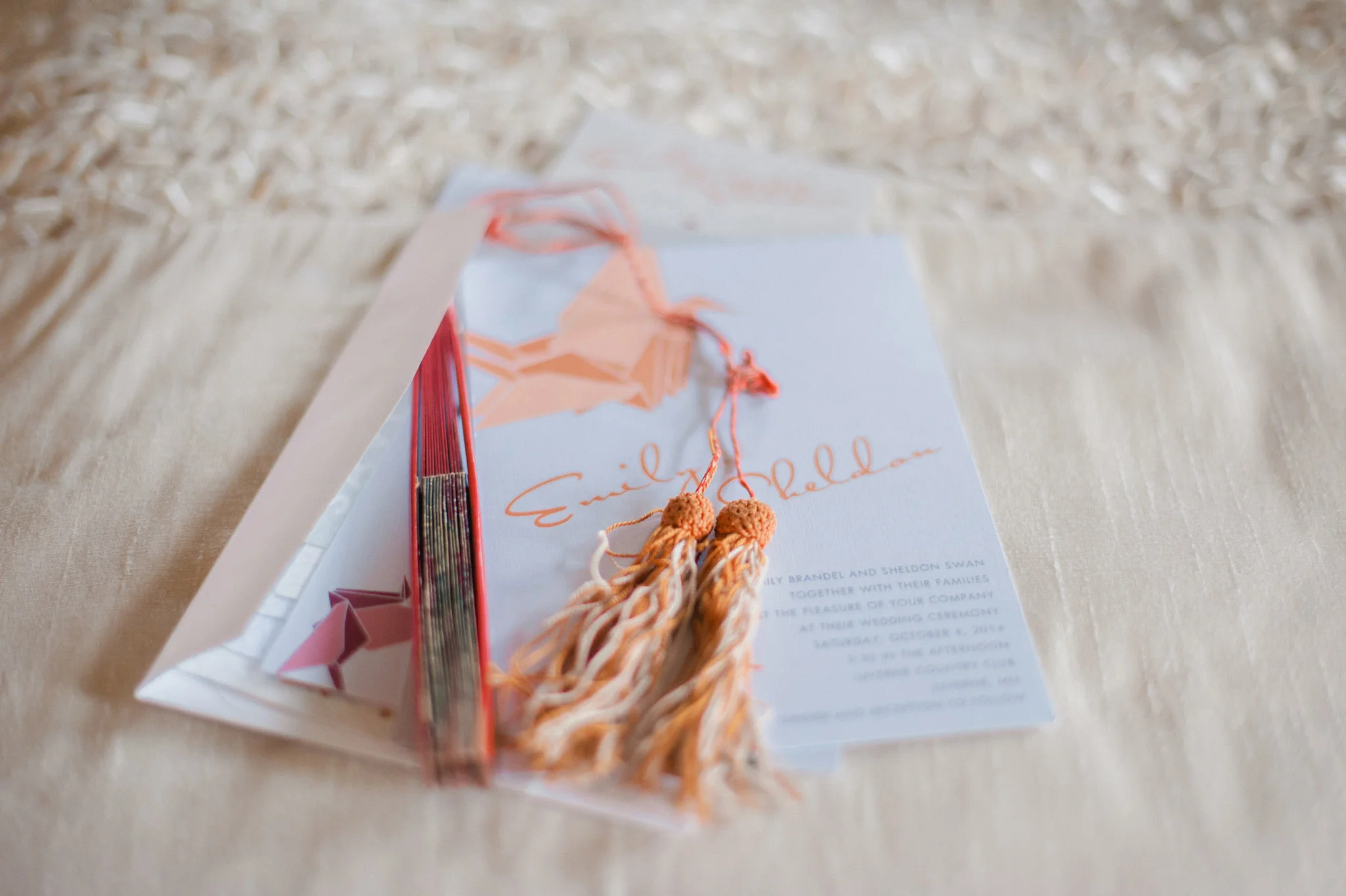 Emily and Sheldon Wedding-8.jpg