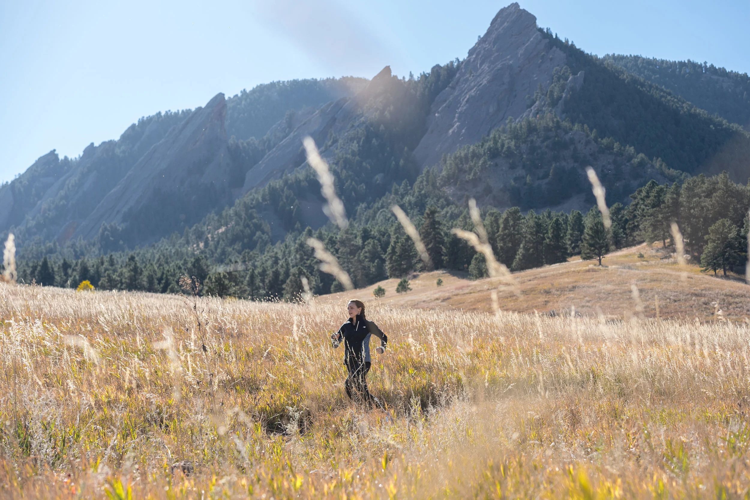 Trappe_Matt_20151103_DSC_7897 2.jpg