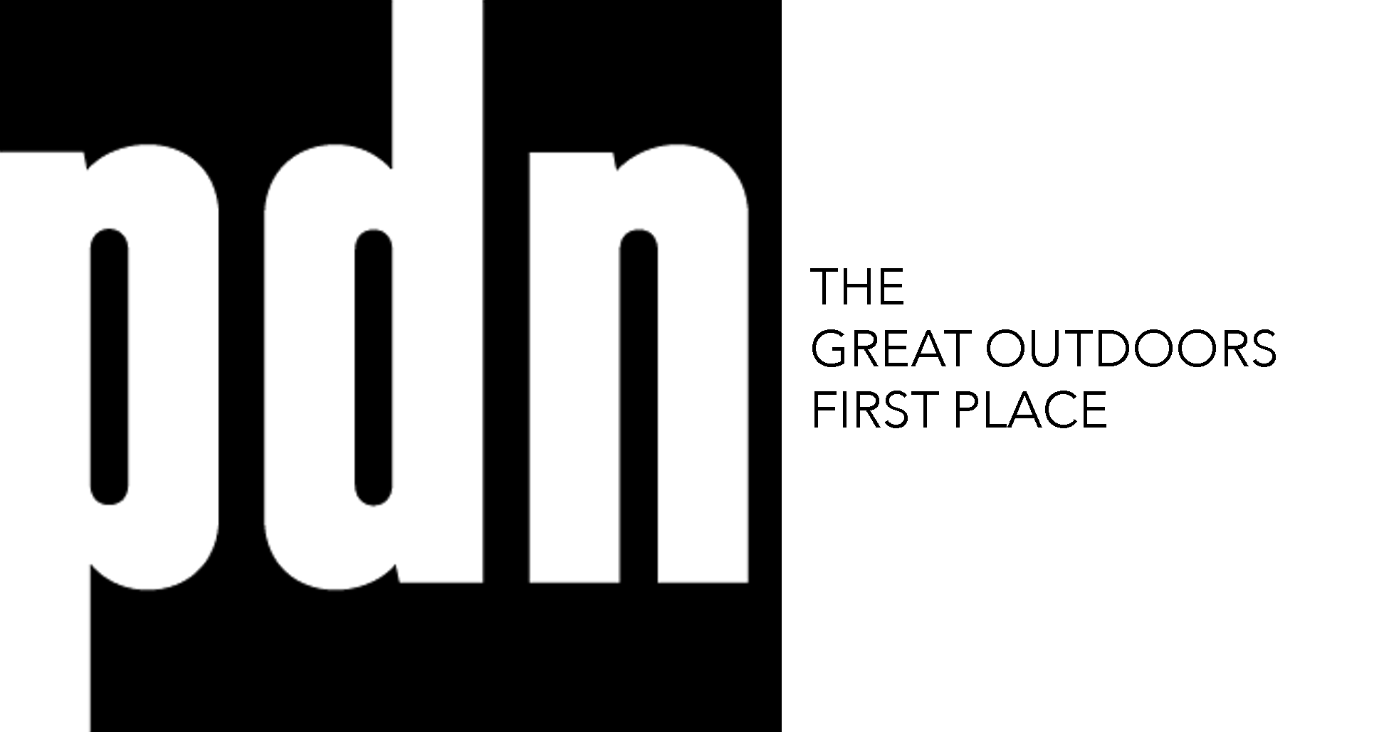 PDN WINNER Logo copy.png
