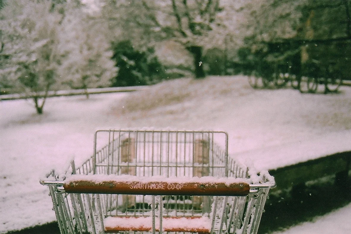shopping cart.jpg