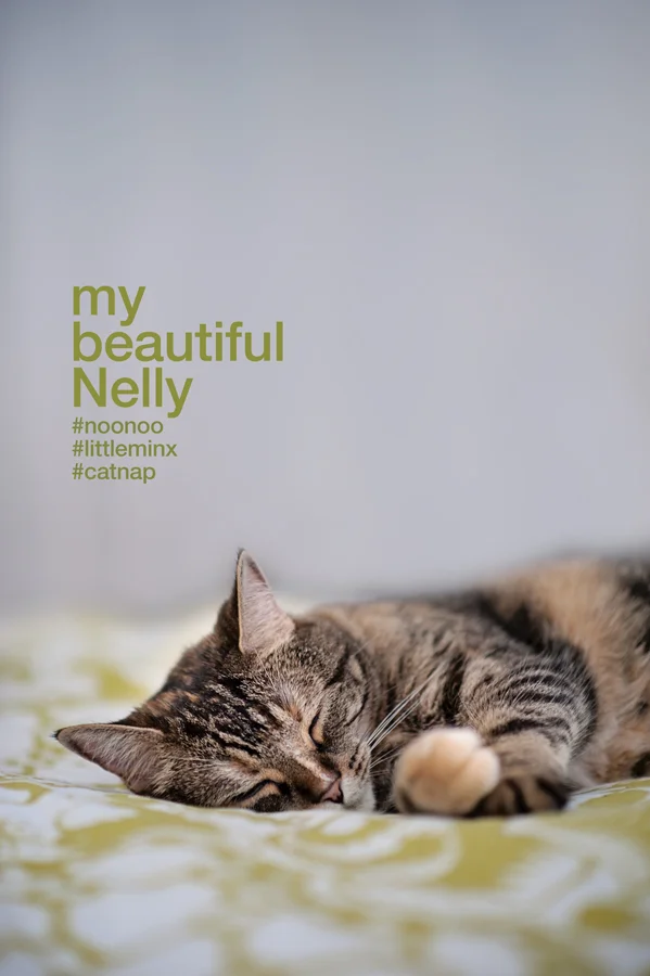 Nell6905.jpg