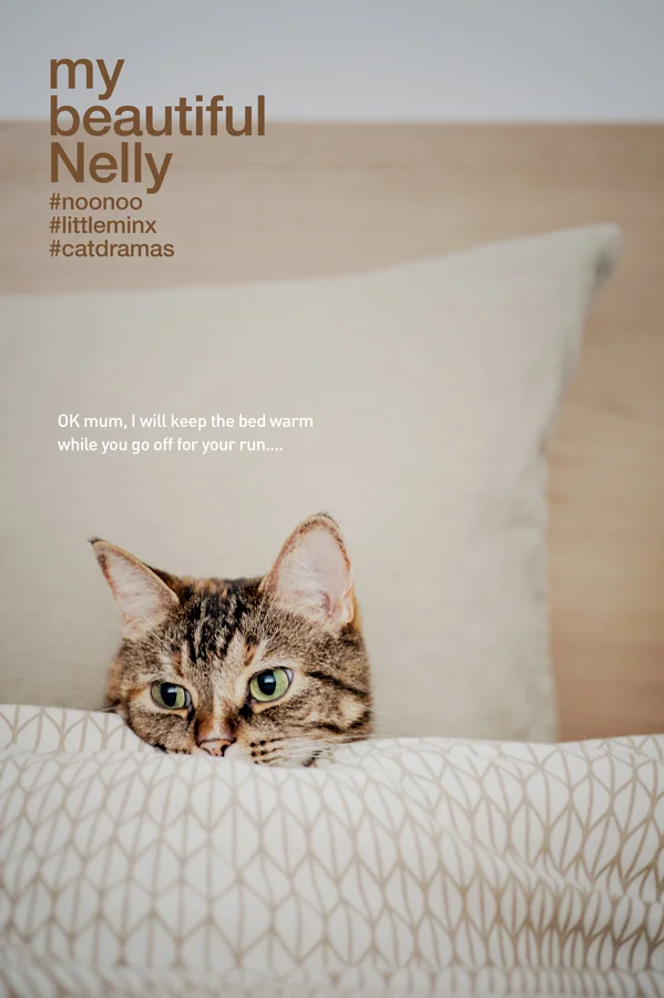 Nelly0362.jpg
