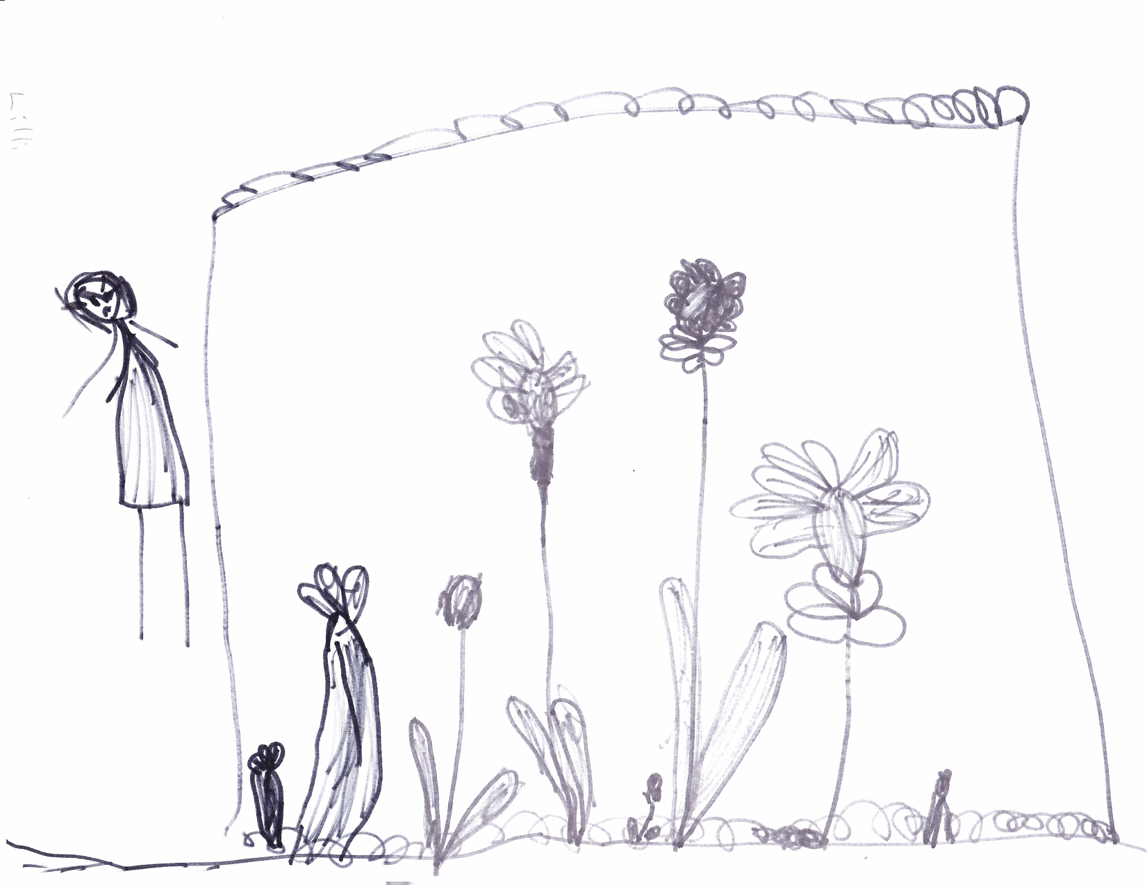 GardenProject16.gif
