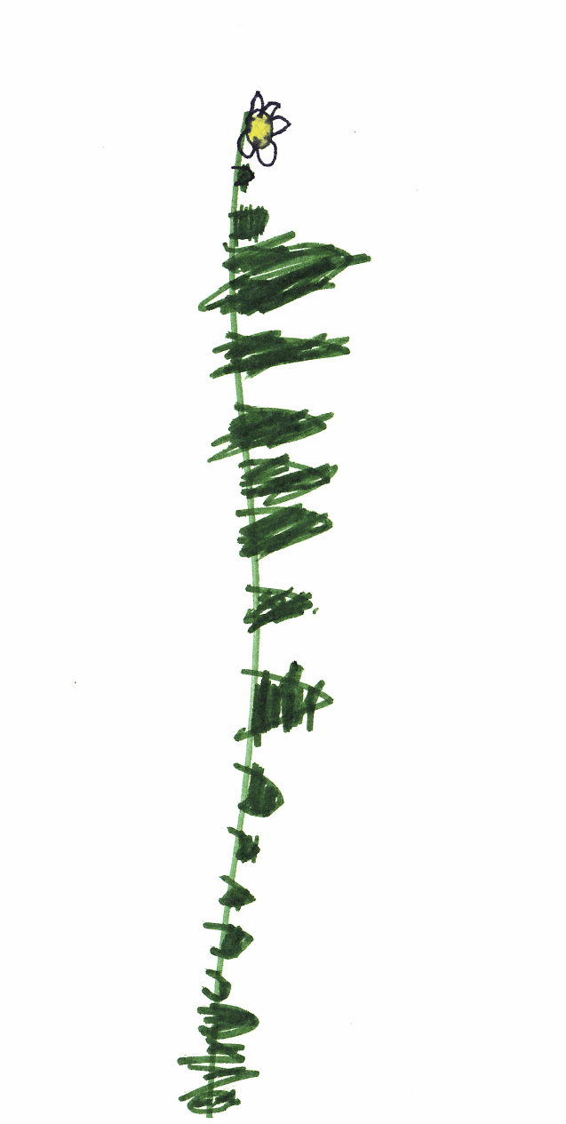 GardenProject20.gif