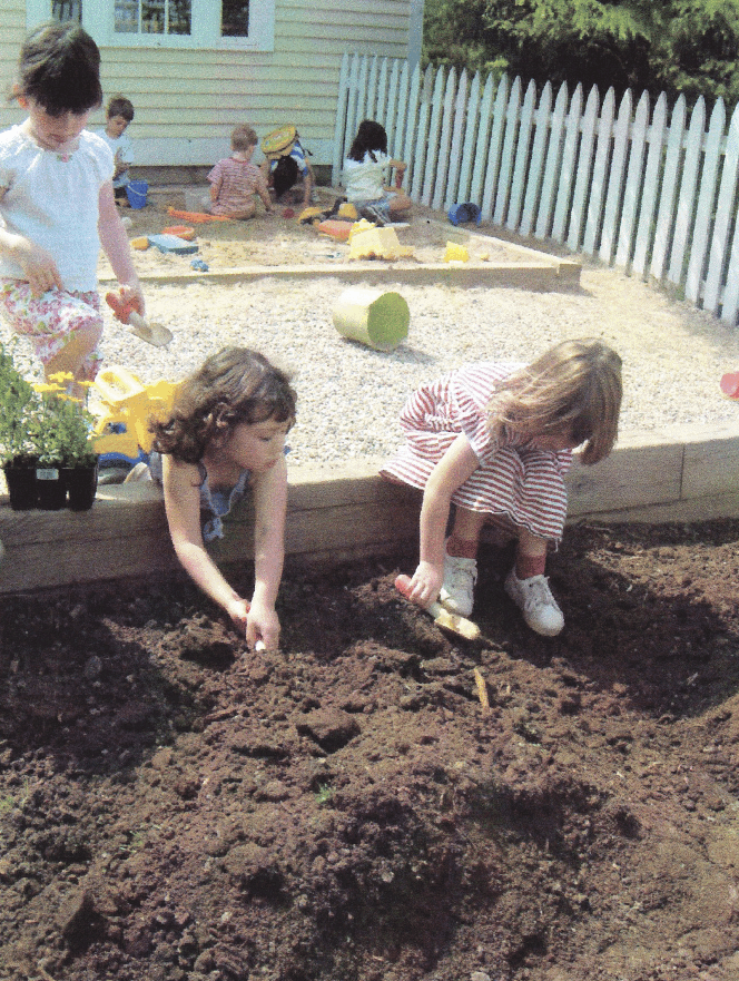 GardenProject21.gif