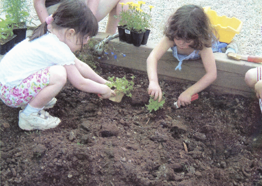 GardenProject24.gif