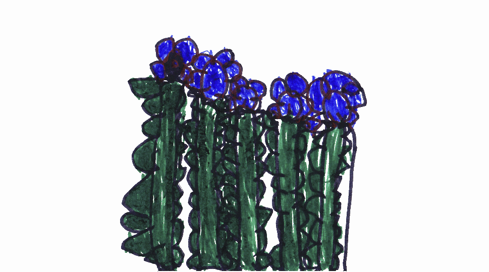 GardenProject17.gif