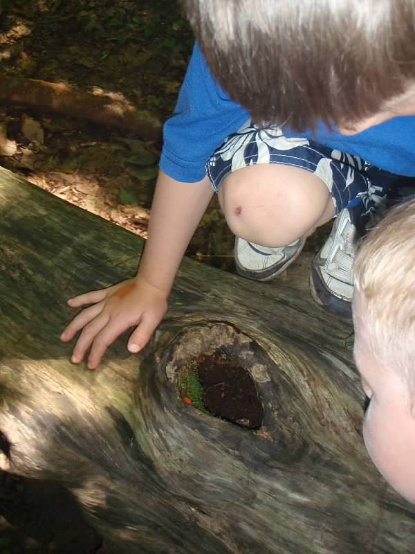 Exploring at Kent Falls