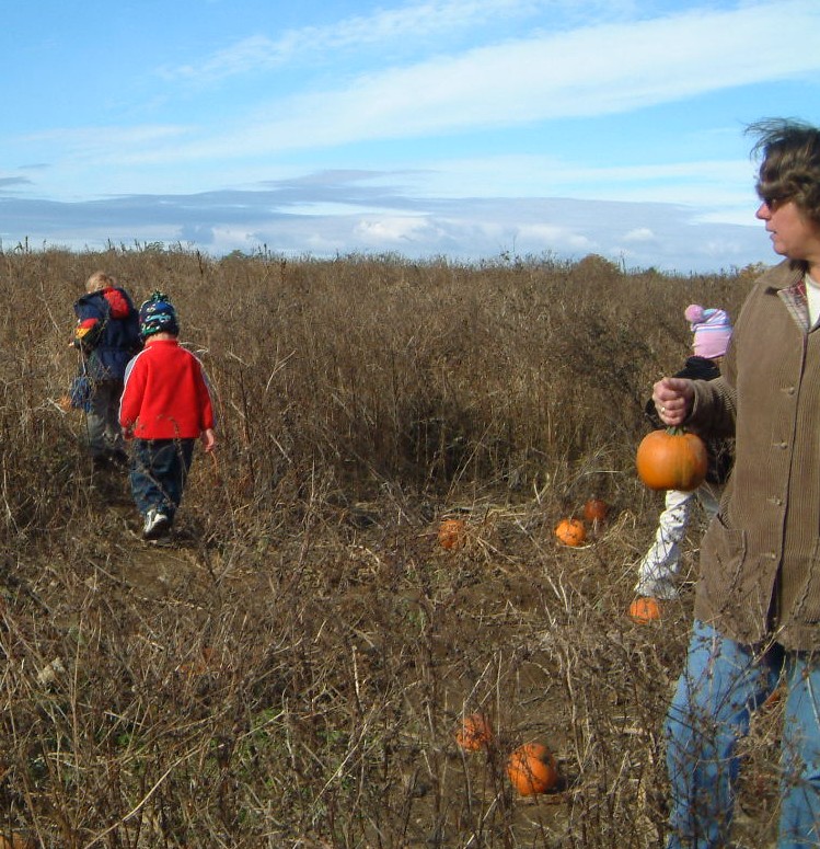 Annual pumpkin patch field trip