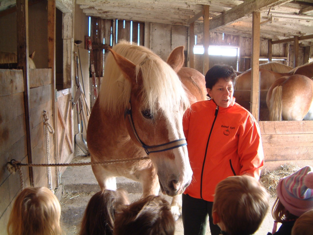 Bunnell Farm