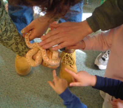 VIsiting snake