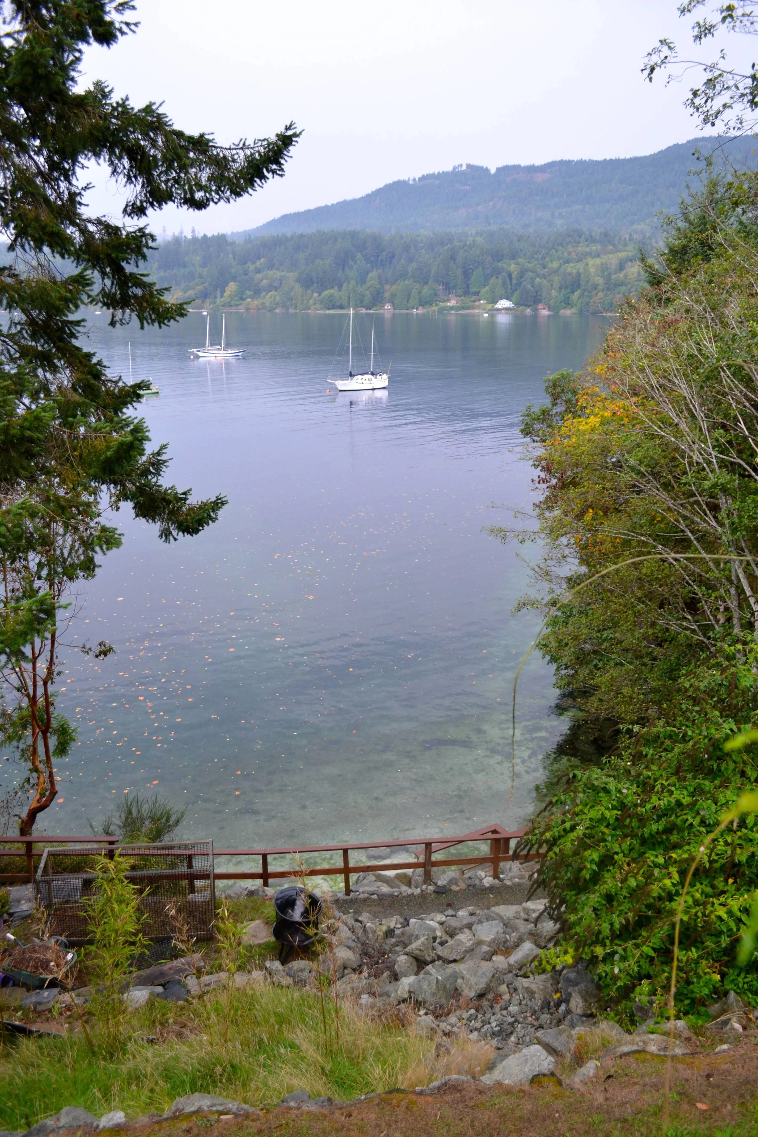 DSC_0570.jpg