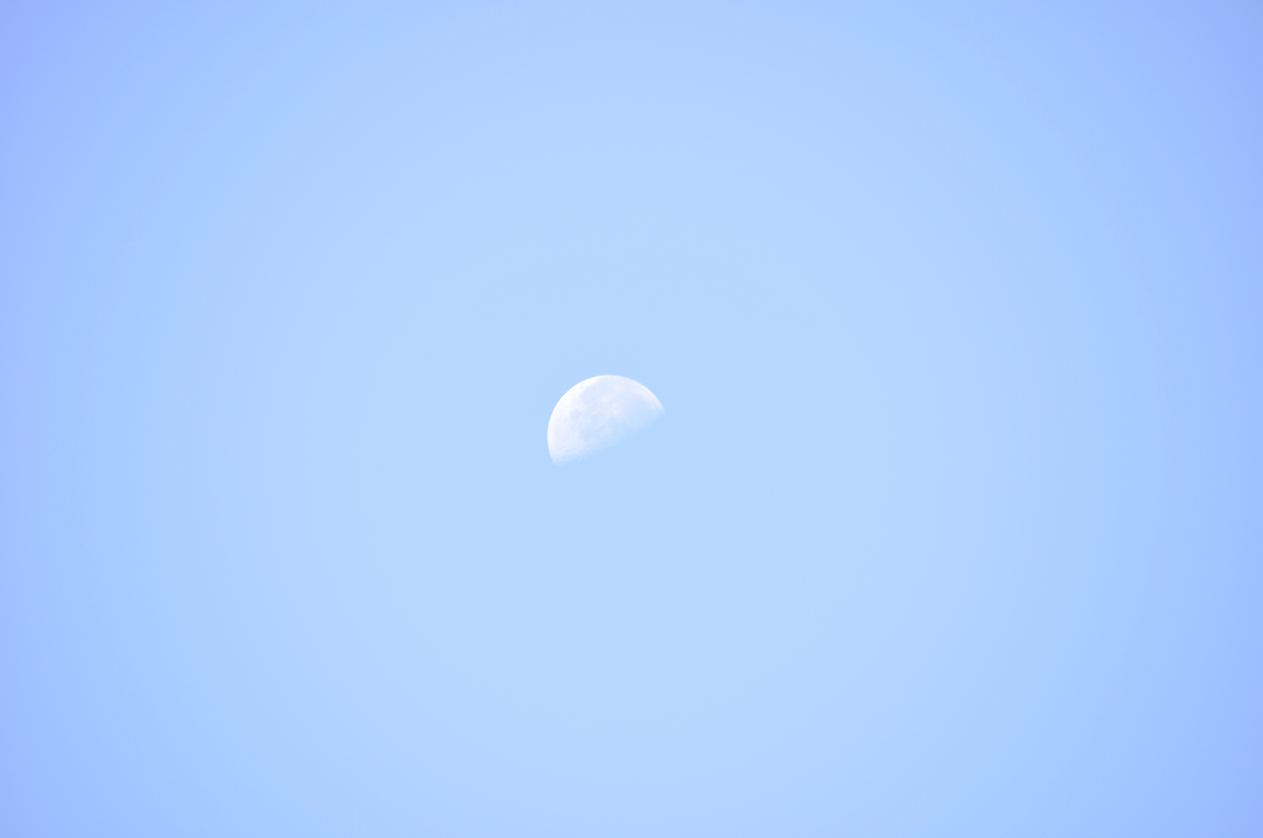 Cercare la luna