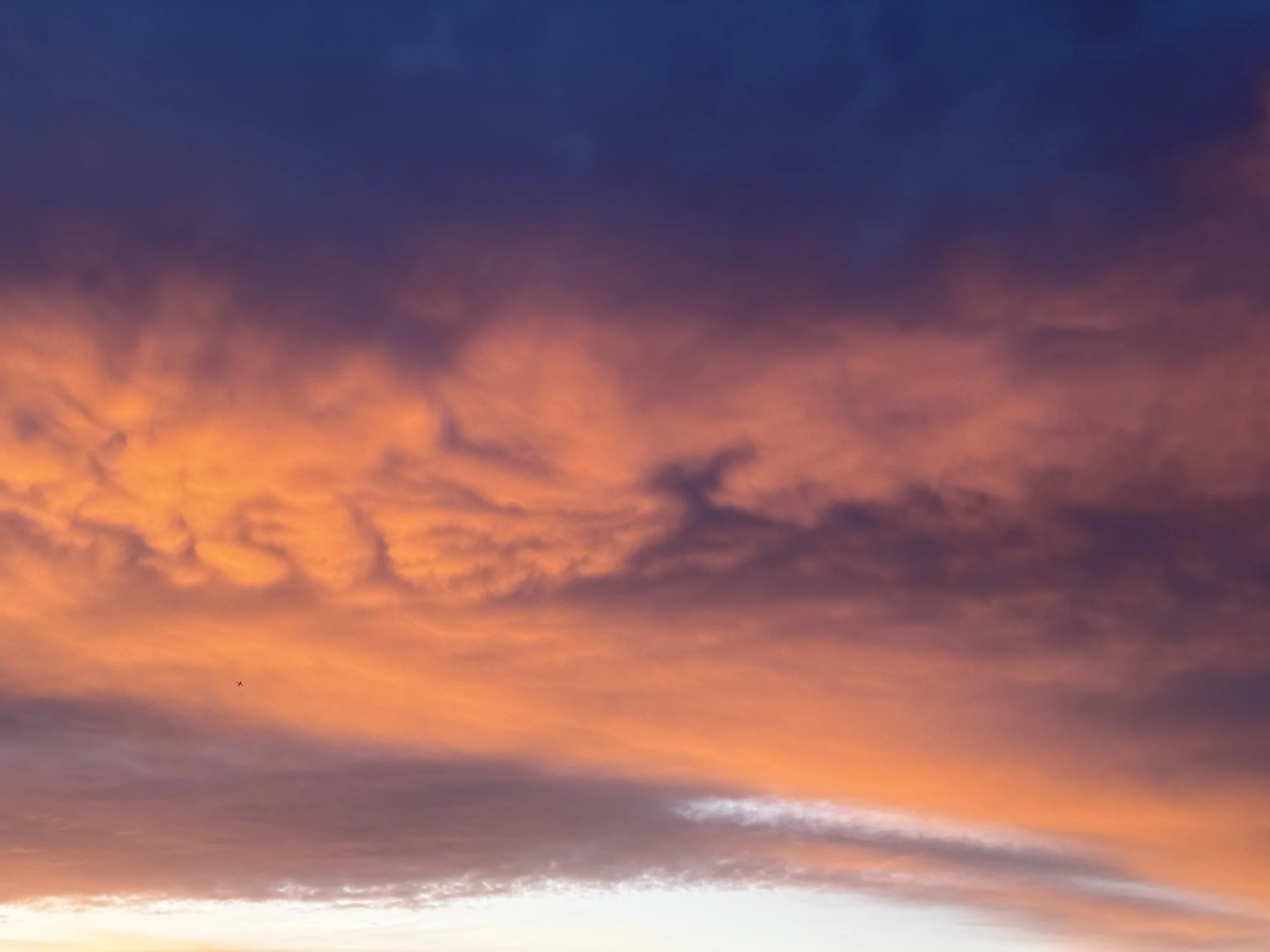 Proposito per ottobre: miglioro la mia alimentazione :)