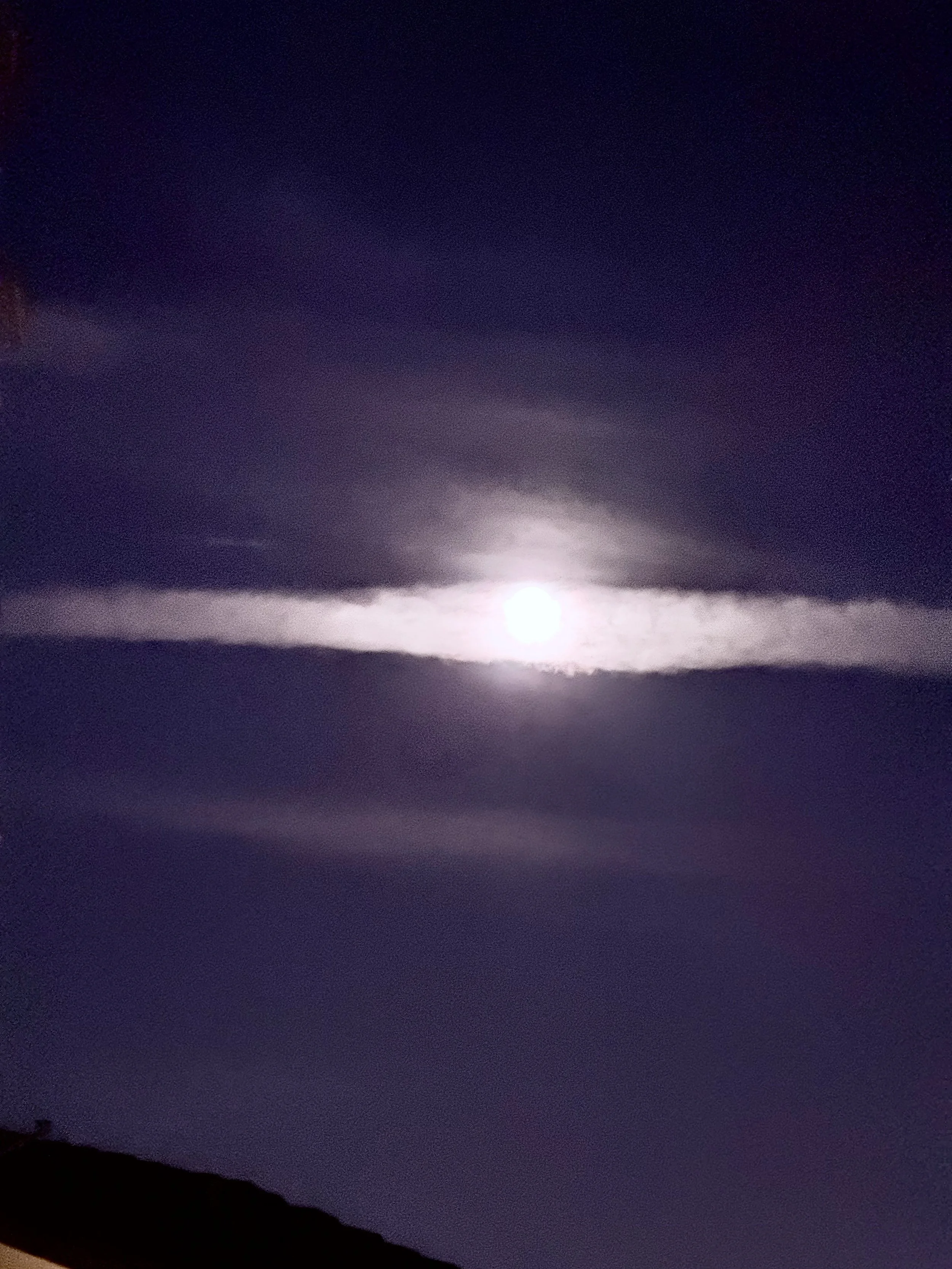 Lealtà o disobbedienza?