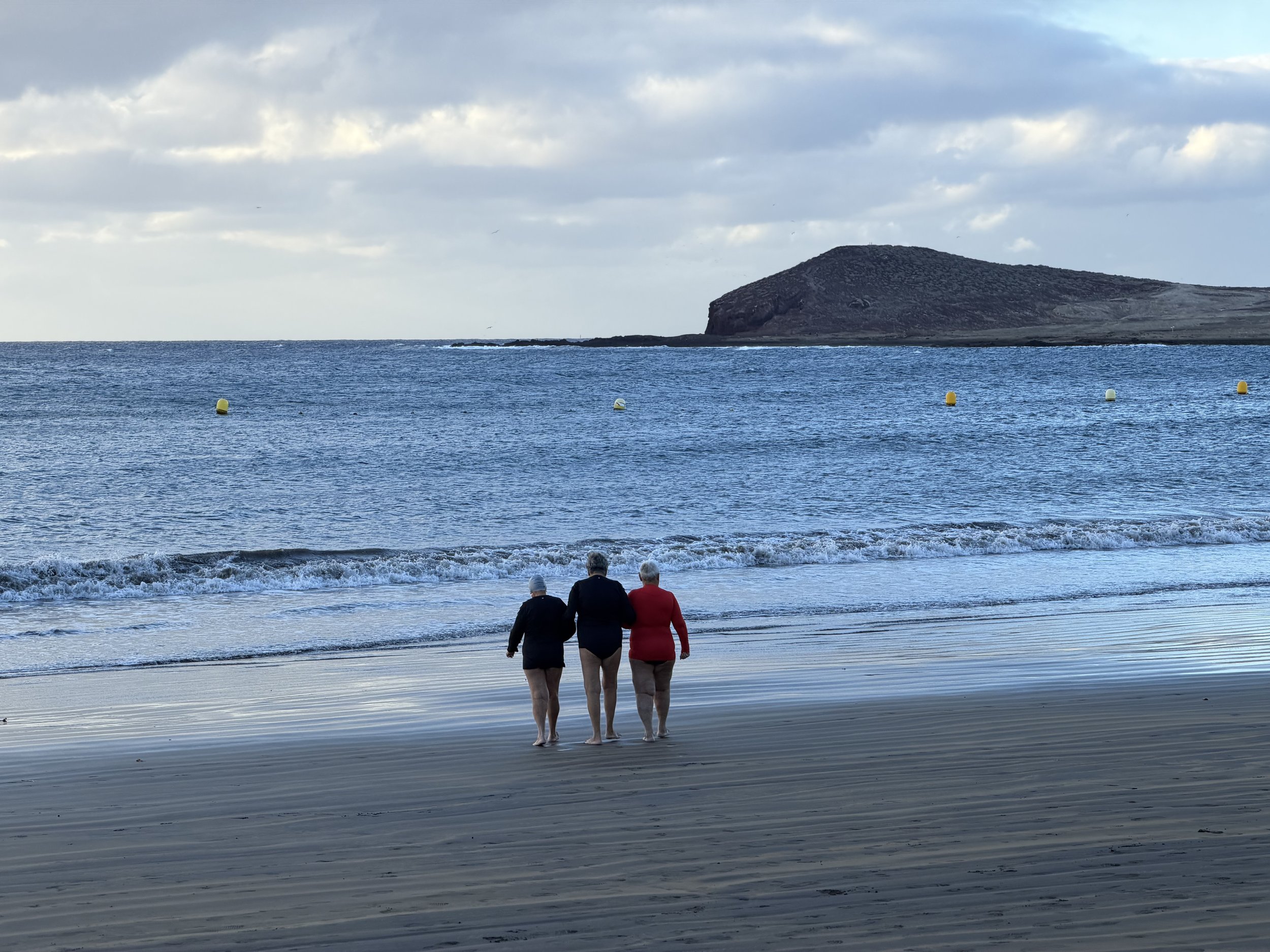  Lealtà o disubbidienza in questo nuovo anno? 