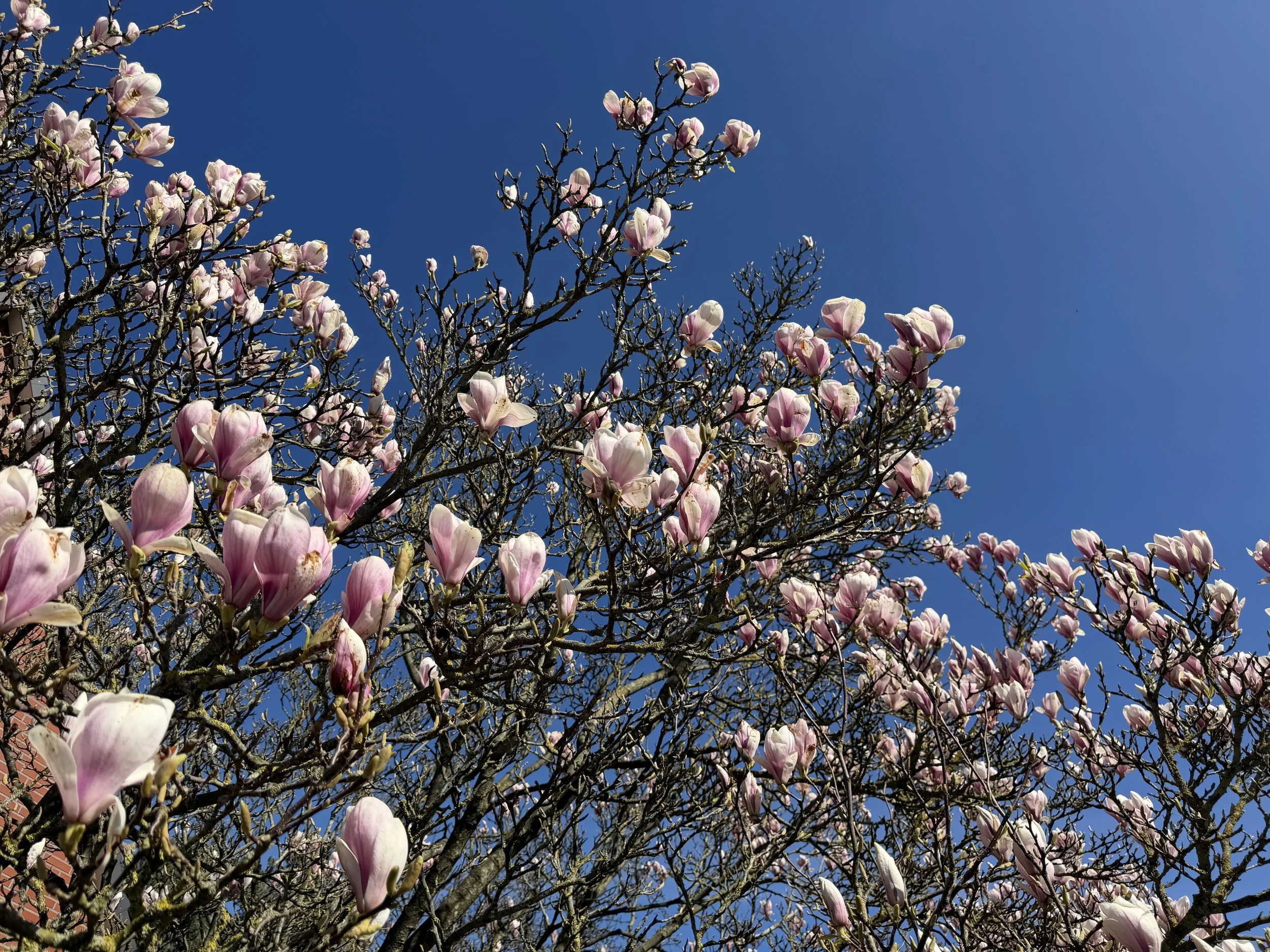  Tutti gli aggiornamenti su www.run530.com 