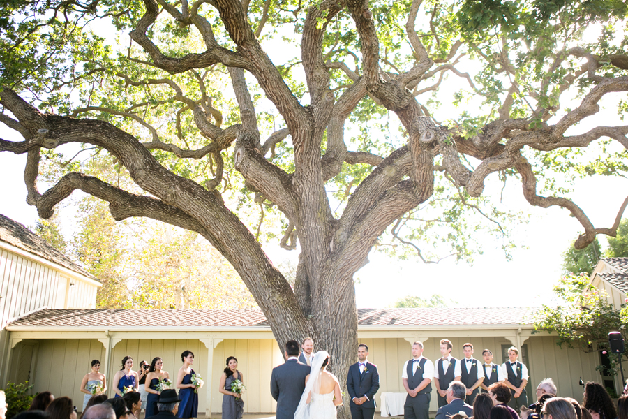 Central California WInery Wedding