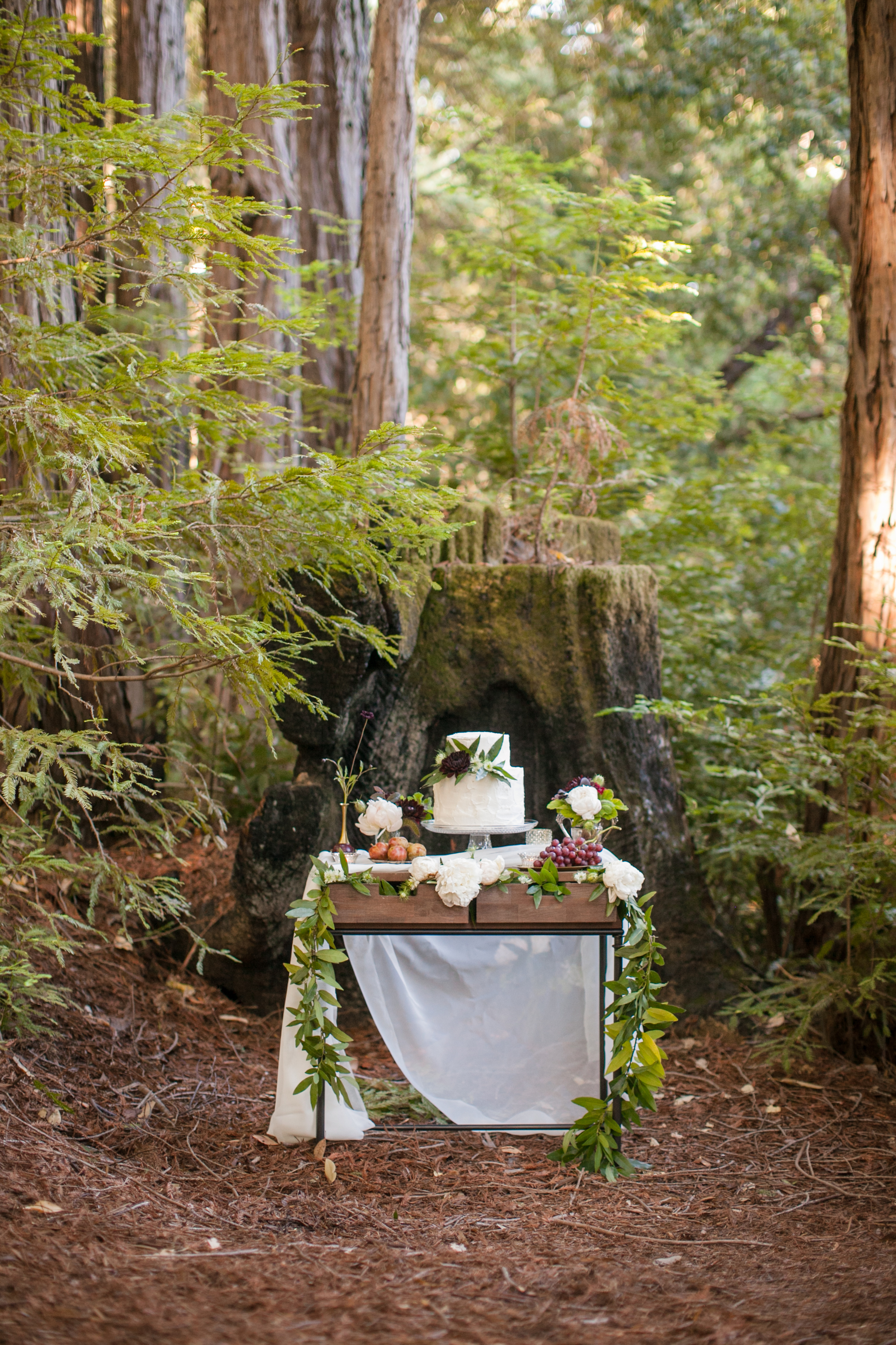 RedwoodForestWedding059.jpg