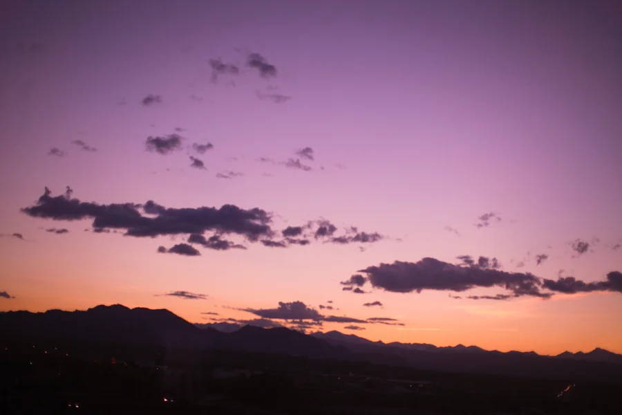 denver | on being cilantro.