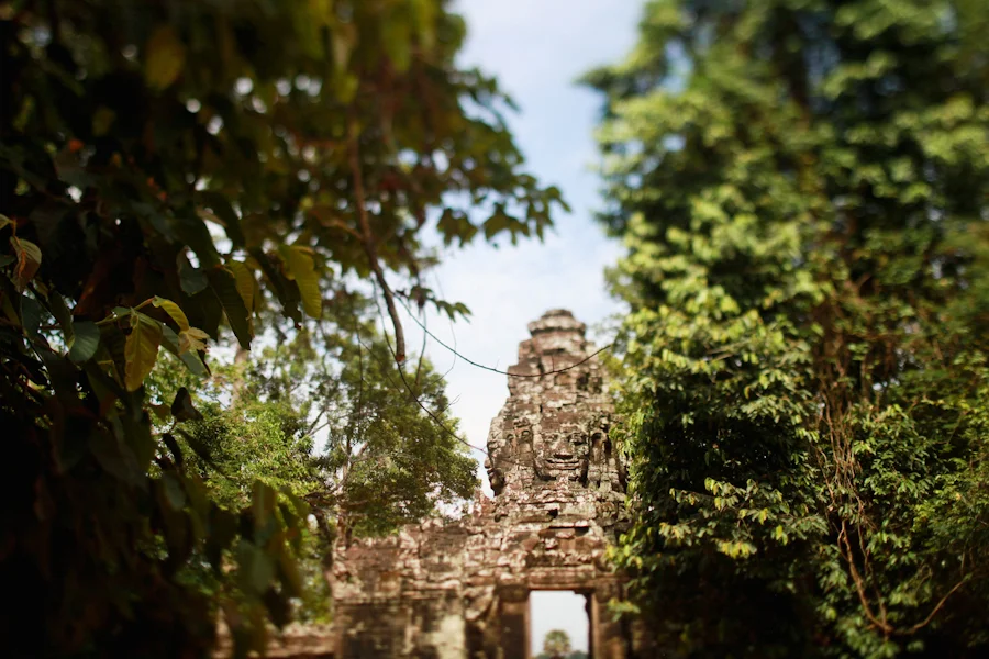 a list and an unrelated picture from cambodia. :D