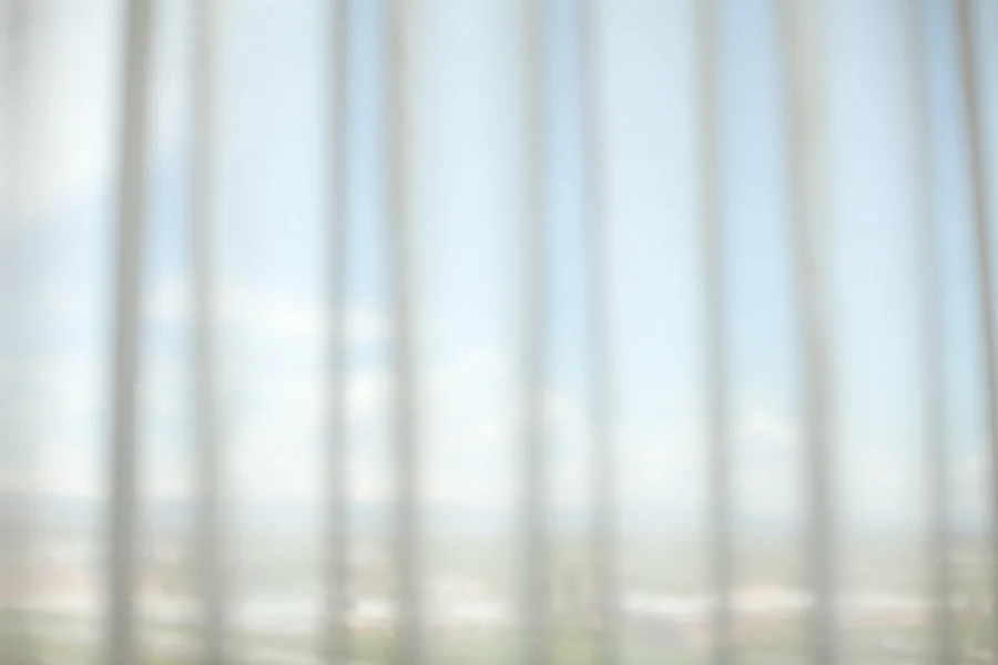 the wind and the blinds.