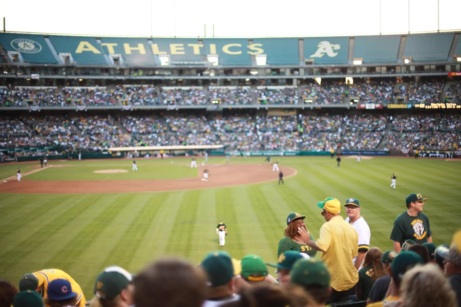 for the love of the game